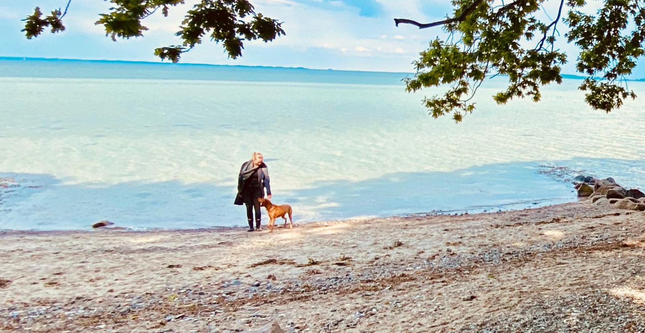 Hof Goosend - Urlaub an der Ostsee & Schlei
