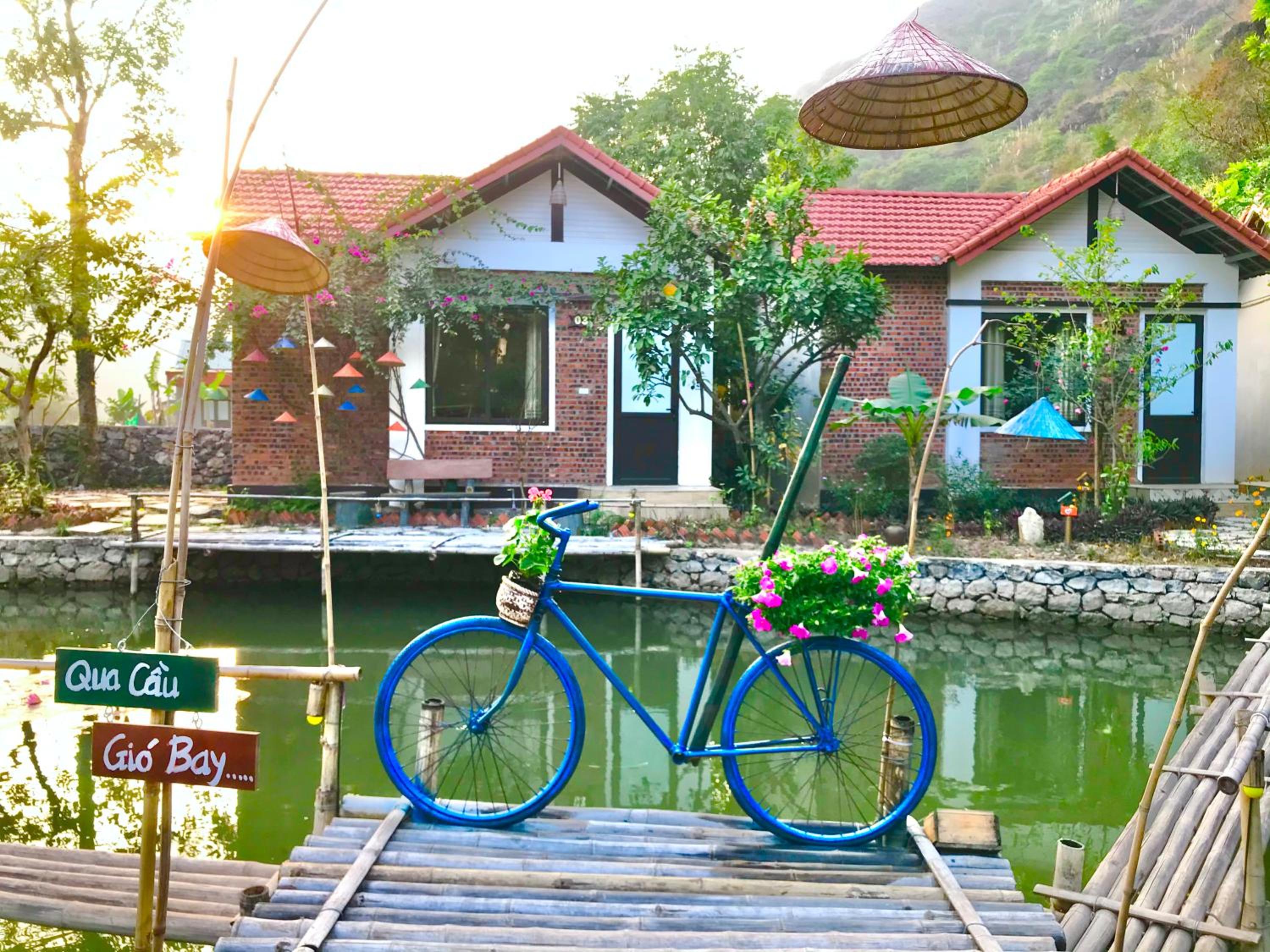 Photo 15