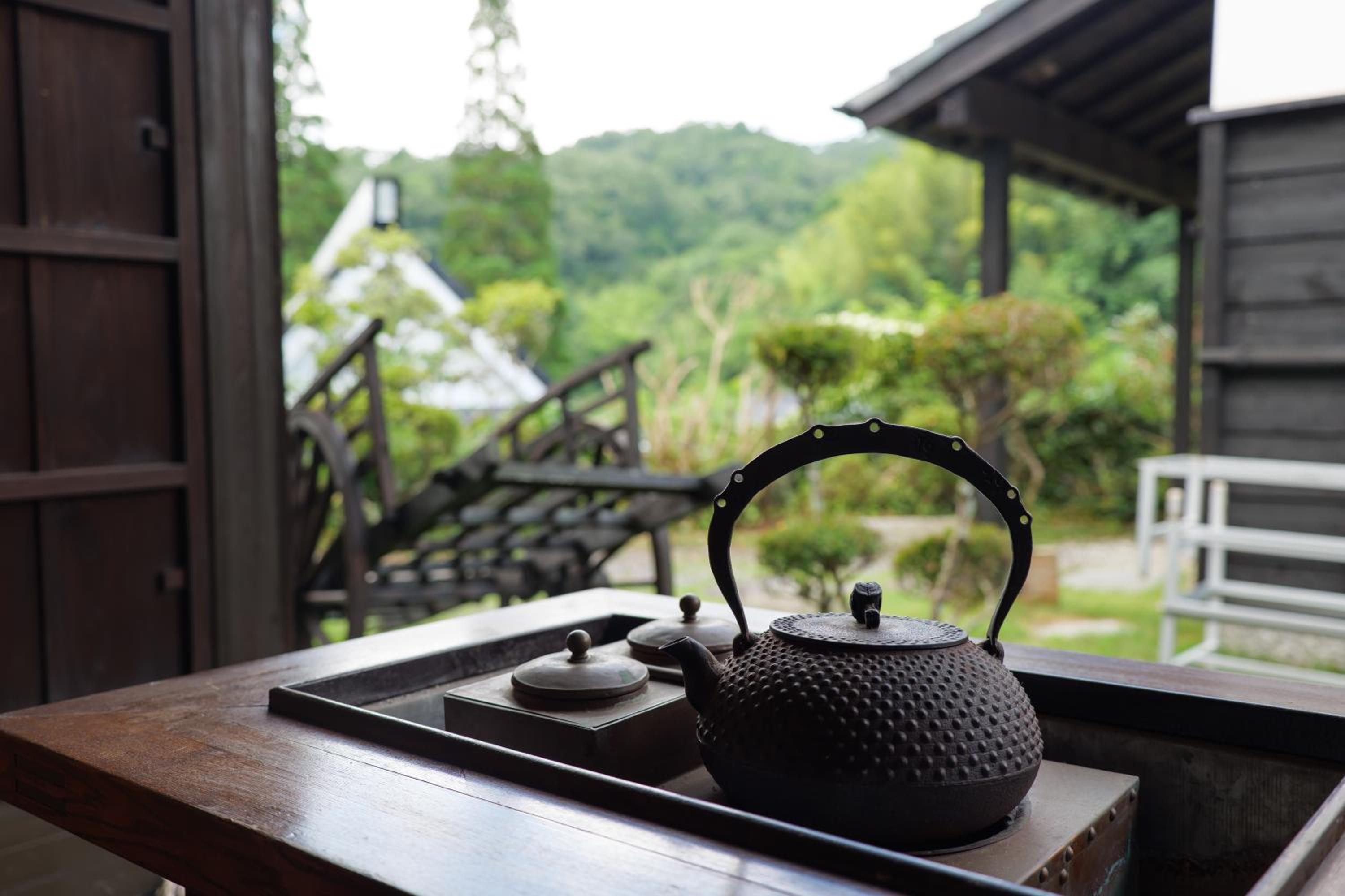 The Ninja Mansion view 5