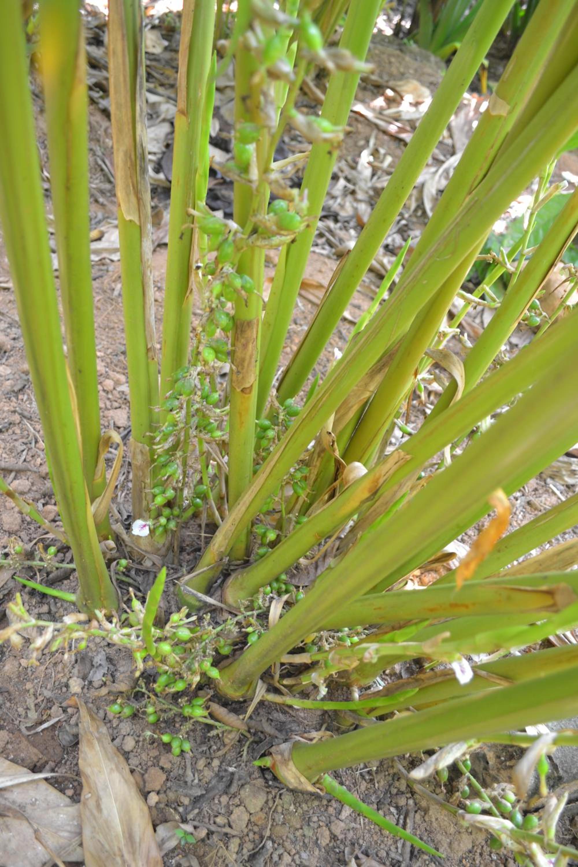 Photo 22
