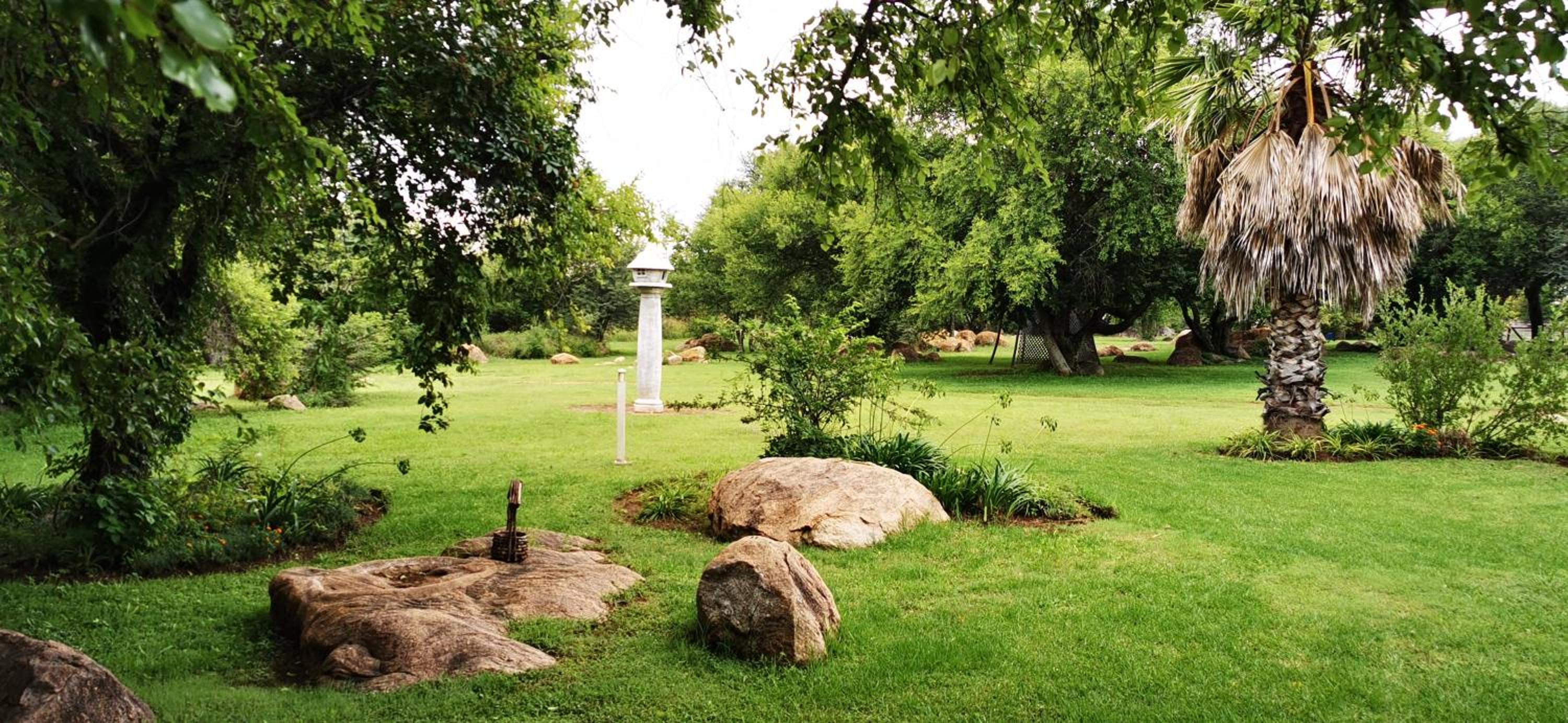 Photo 46
