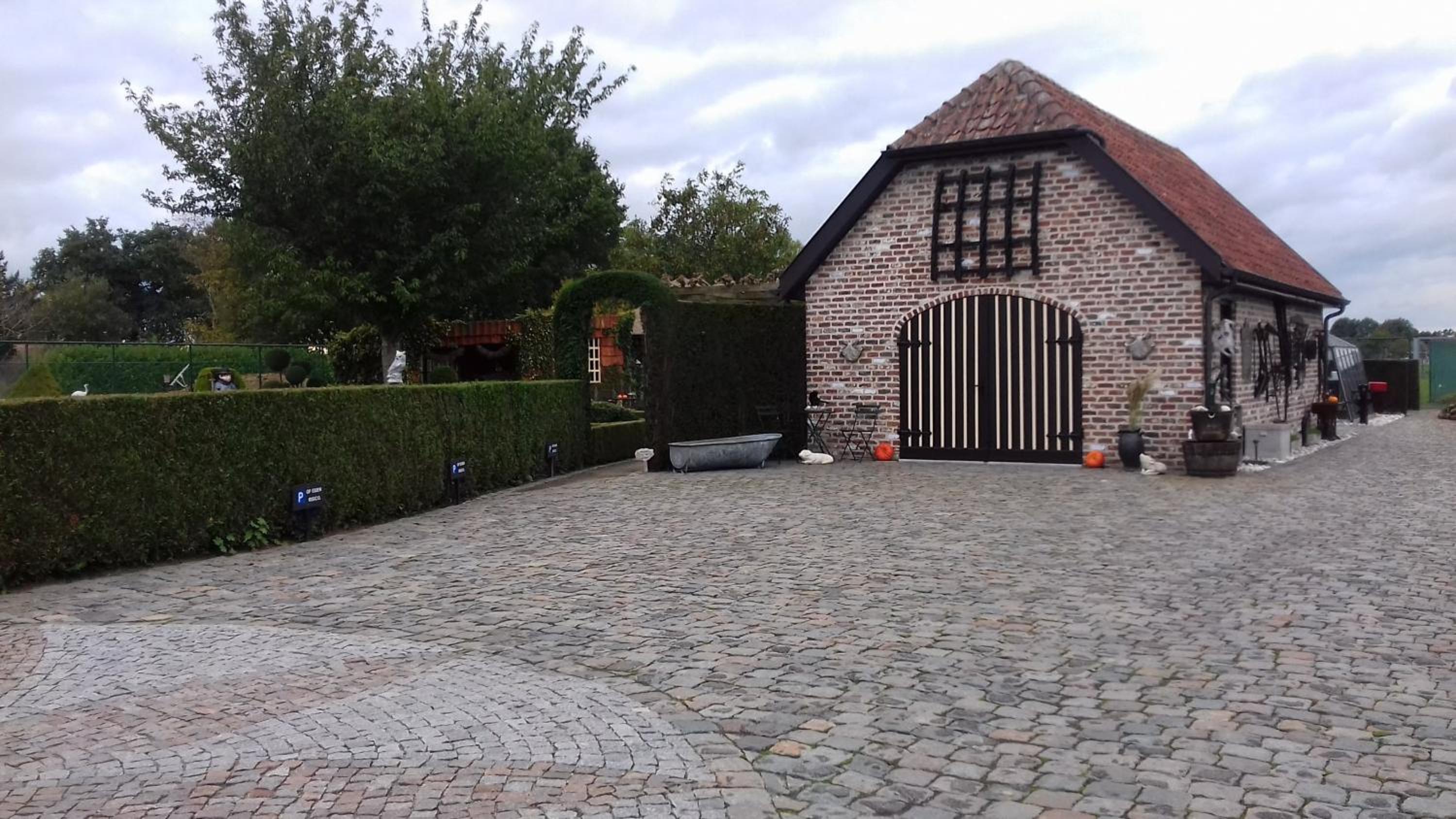 Photo 19