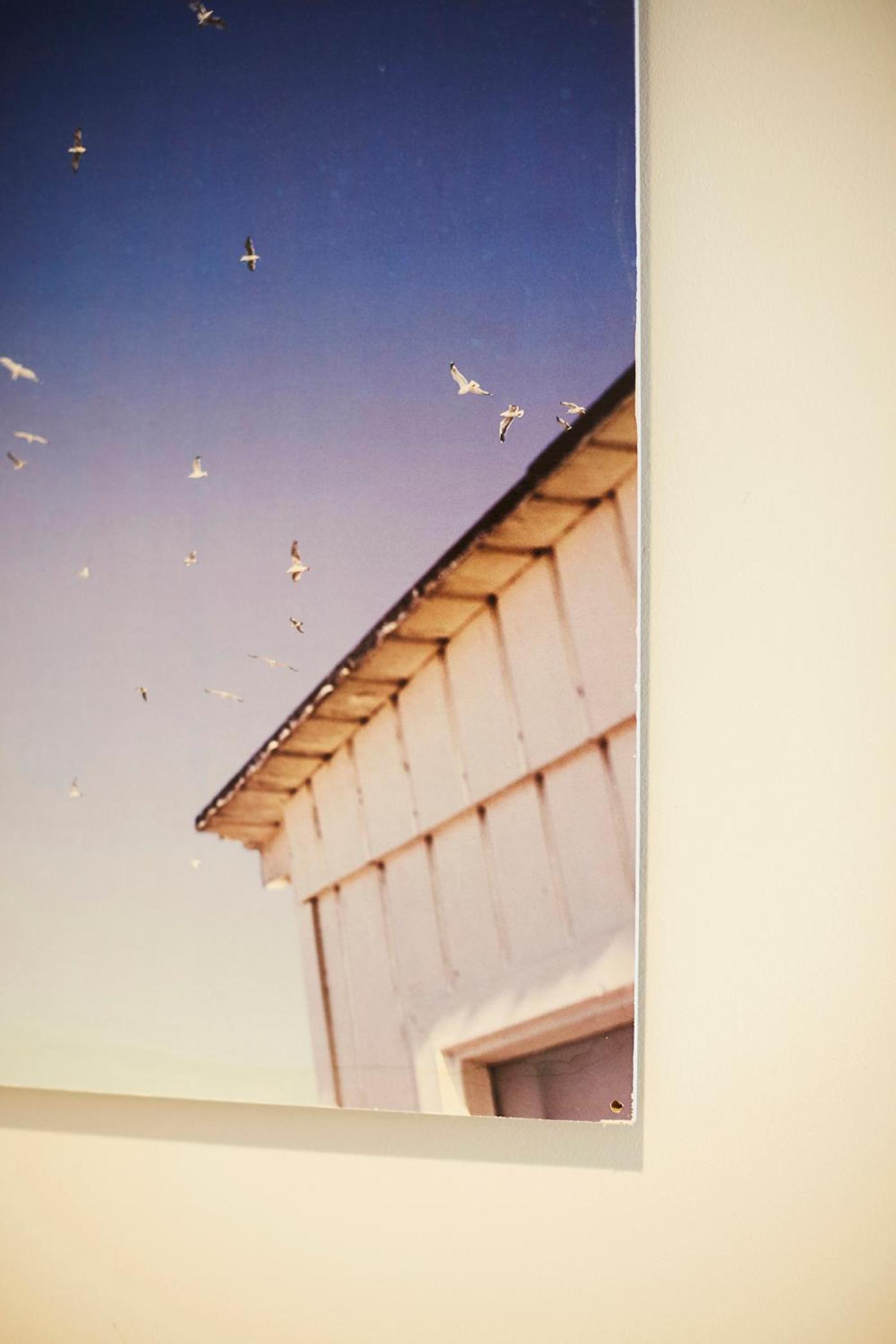 Bonnie's Beachhouse - villa aan zee