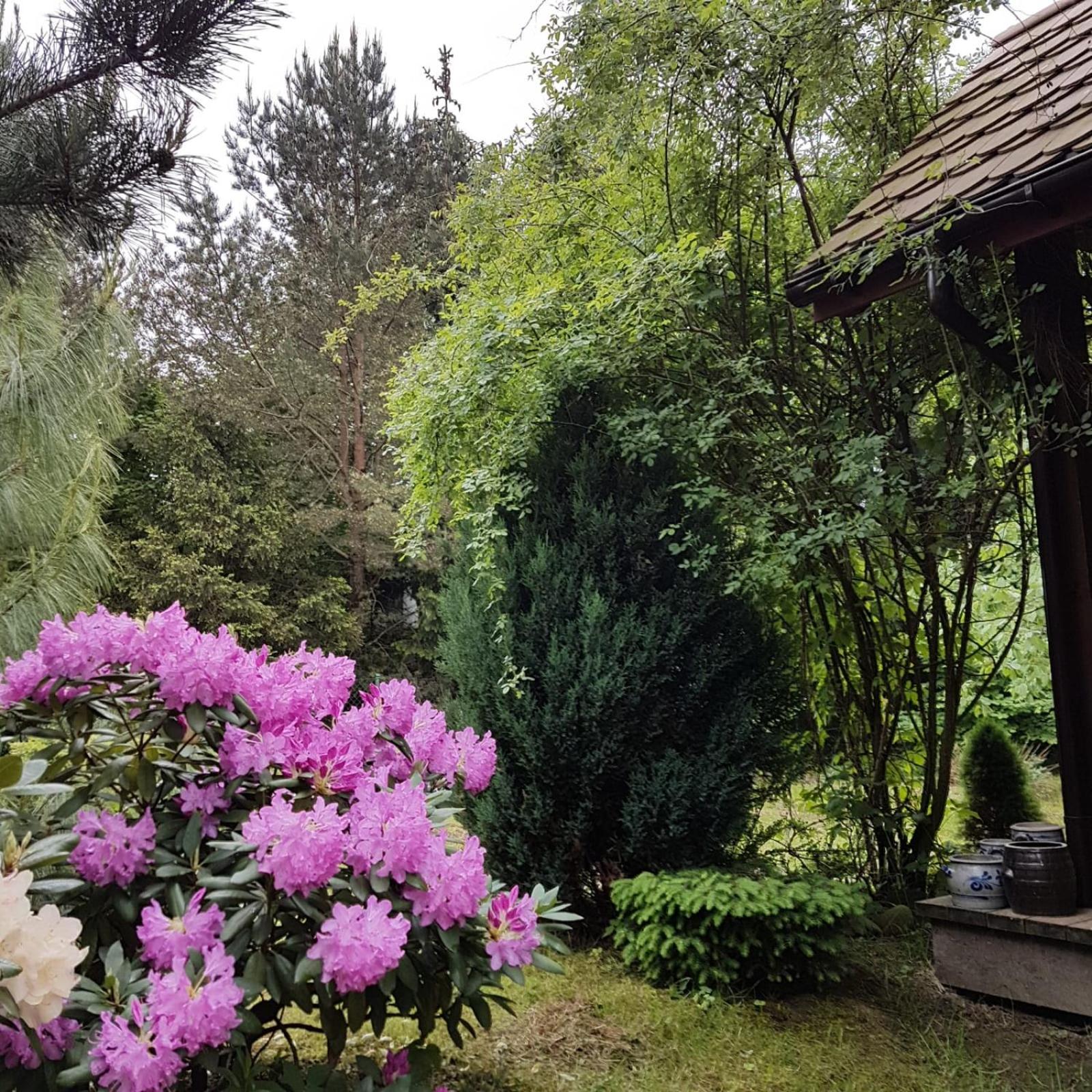 Photo 28
