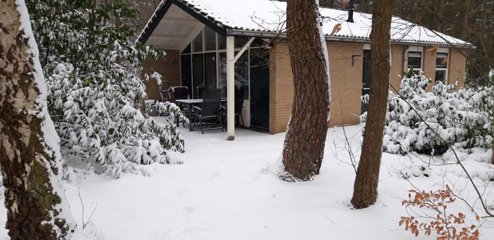 Bospark De Schaapskooi view 4