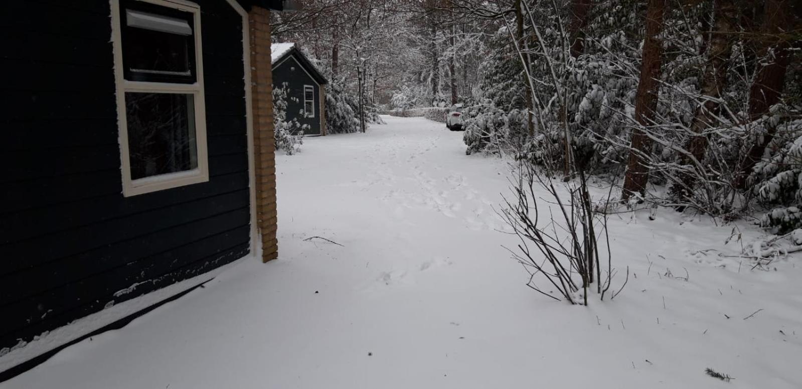 Bospark De Schaapskooi view 3