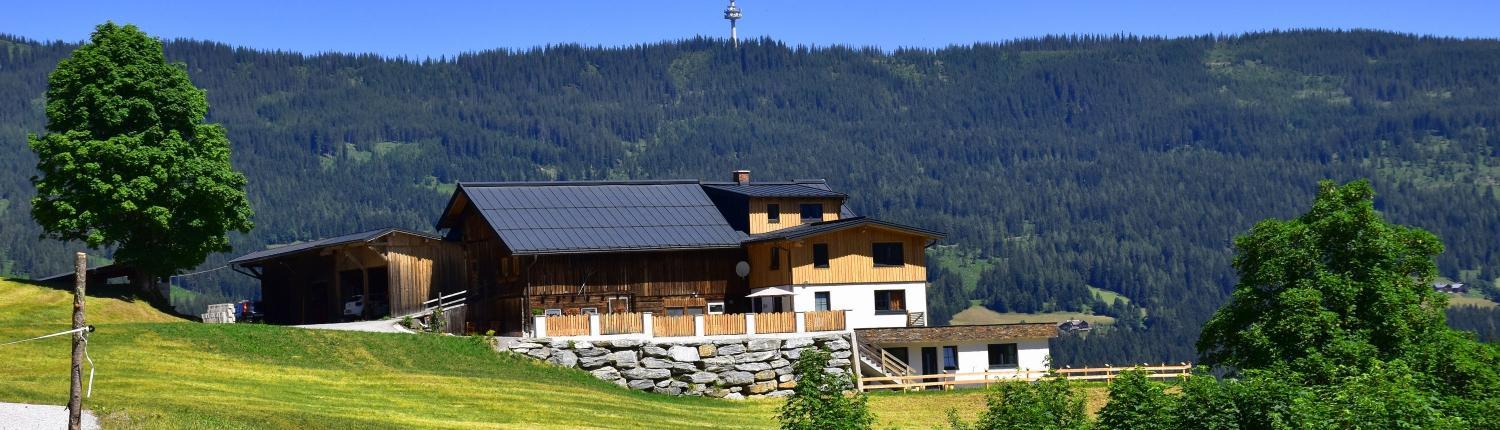 Gut Maierlehen view 3