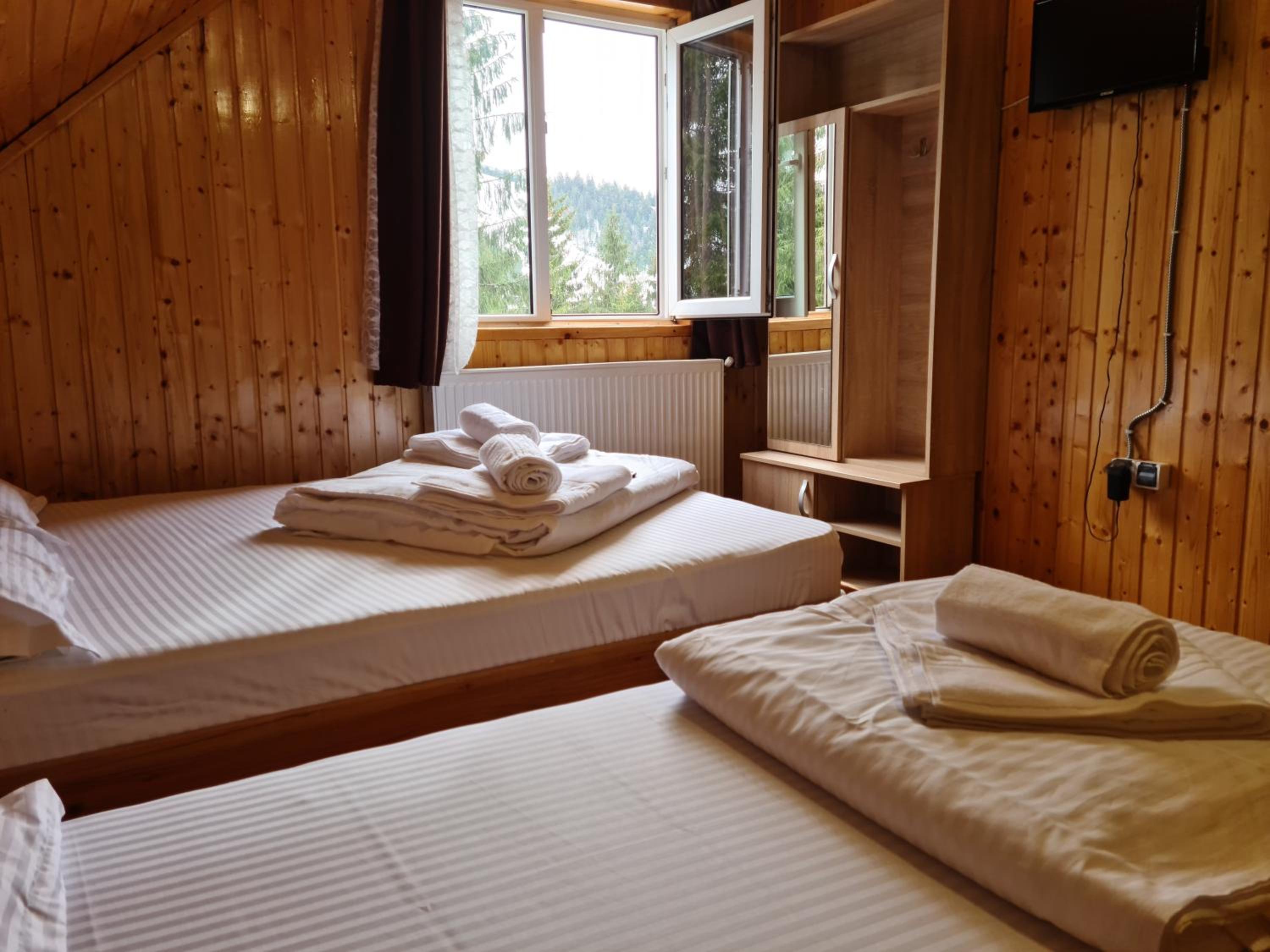 Cabana Mălina Vârtop view 3