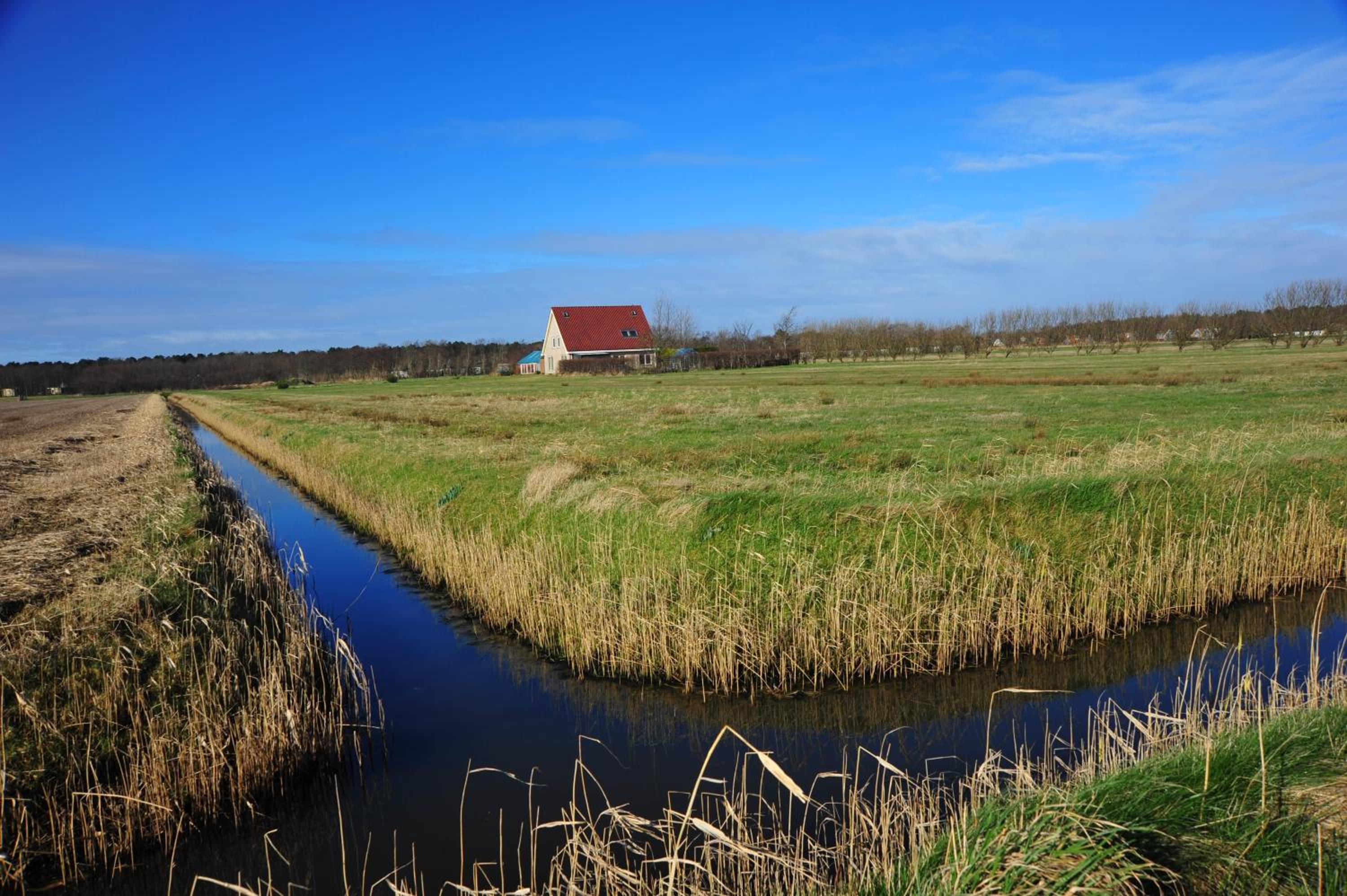Witte Weelde Texel view 5