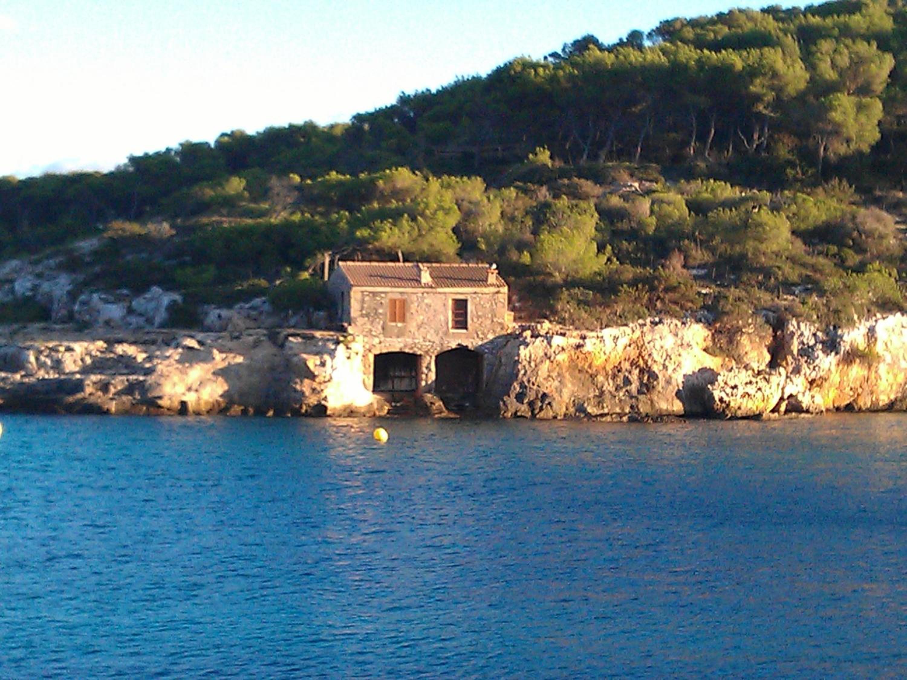 Photo 45