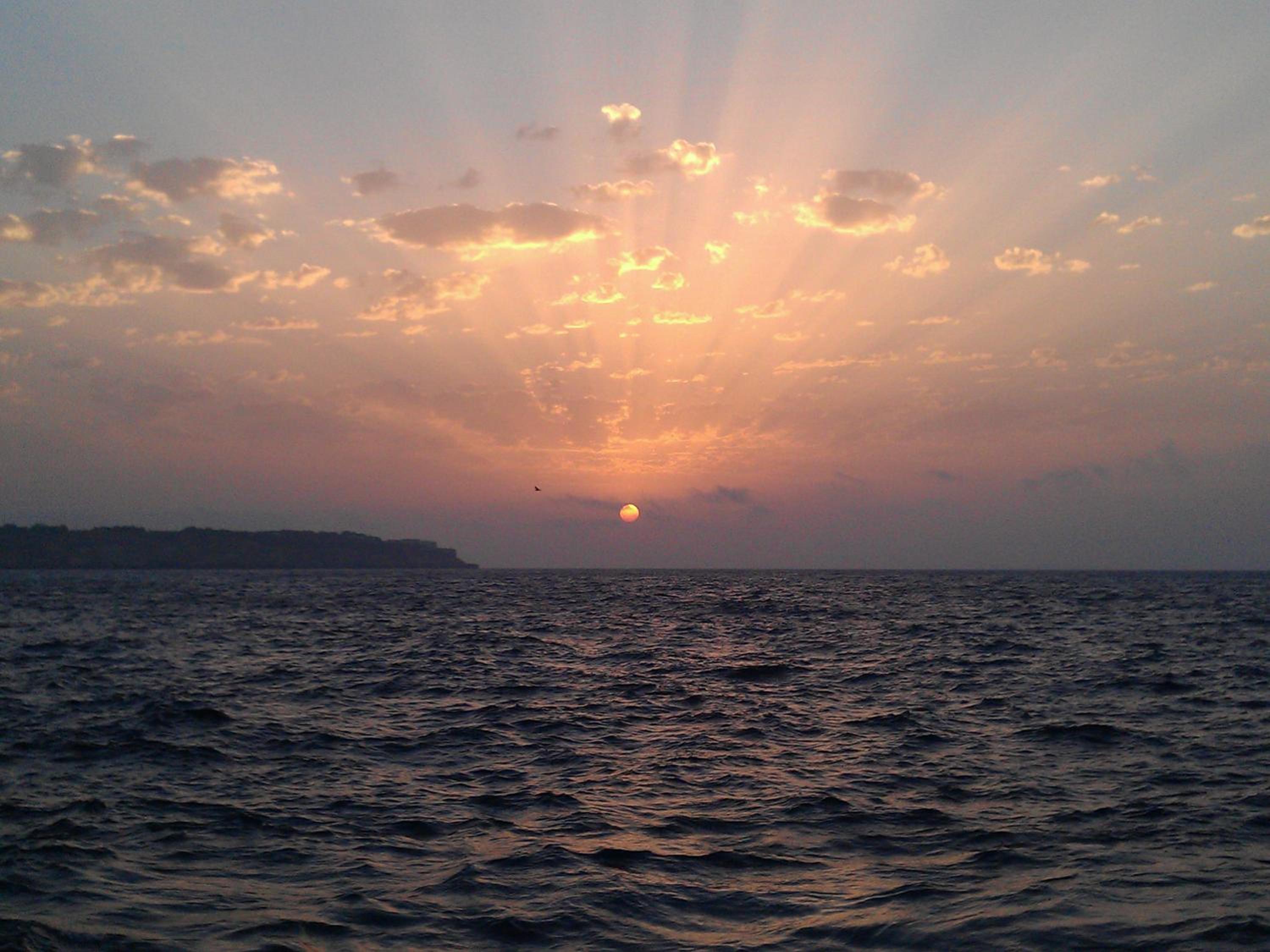 Photo 43