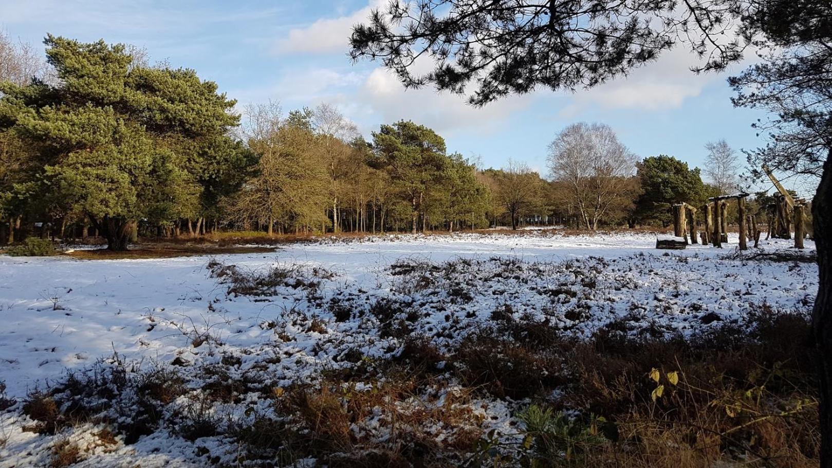 Chalet Op De Veluwe # Berk