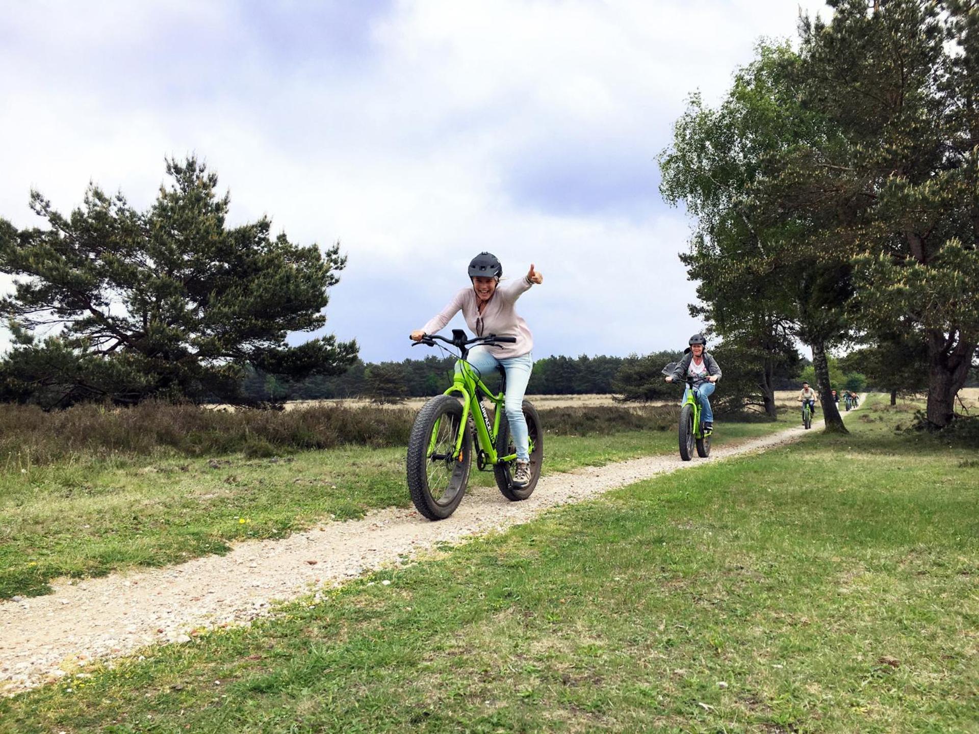 Chalet Op De Veluwe # Berk