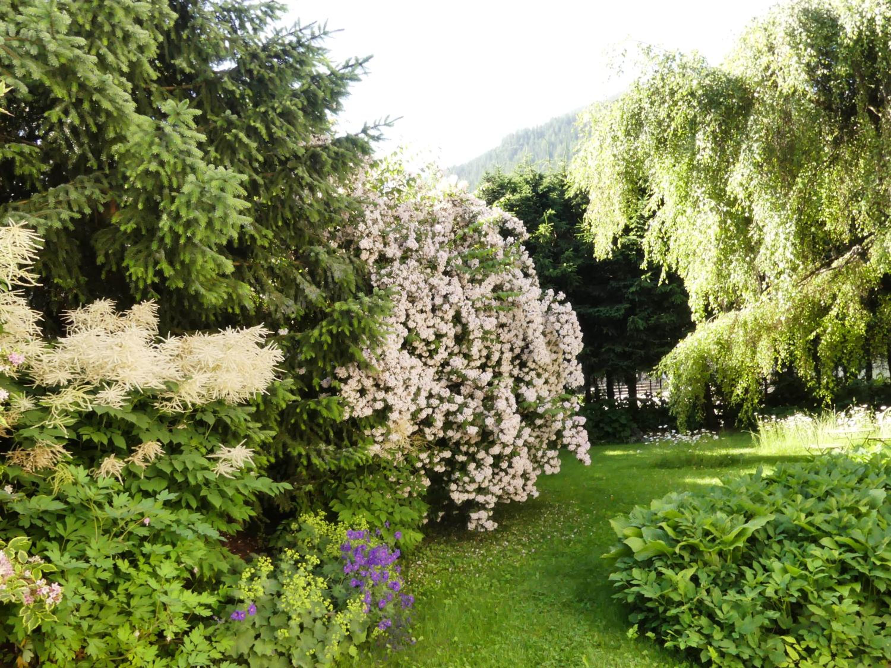 Ferienwohnungen Familie Wetzlinger