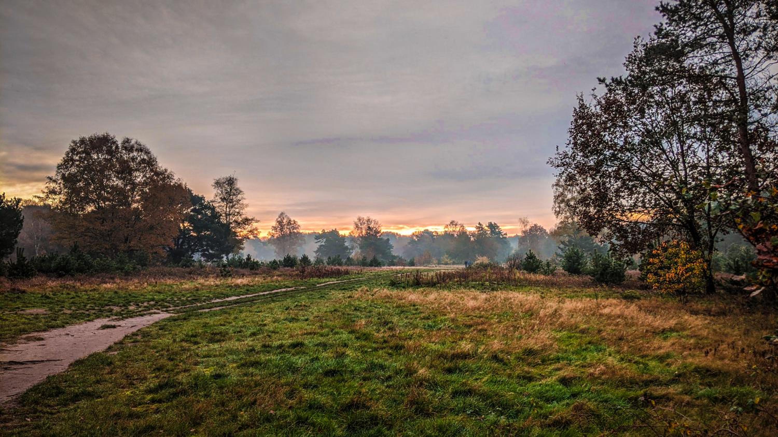 Chalet Op De Veluwe # Eiken view 3