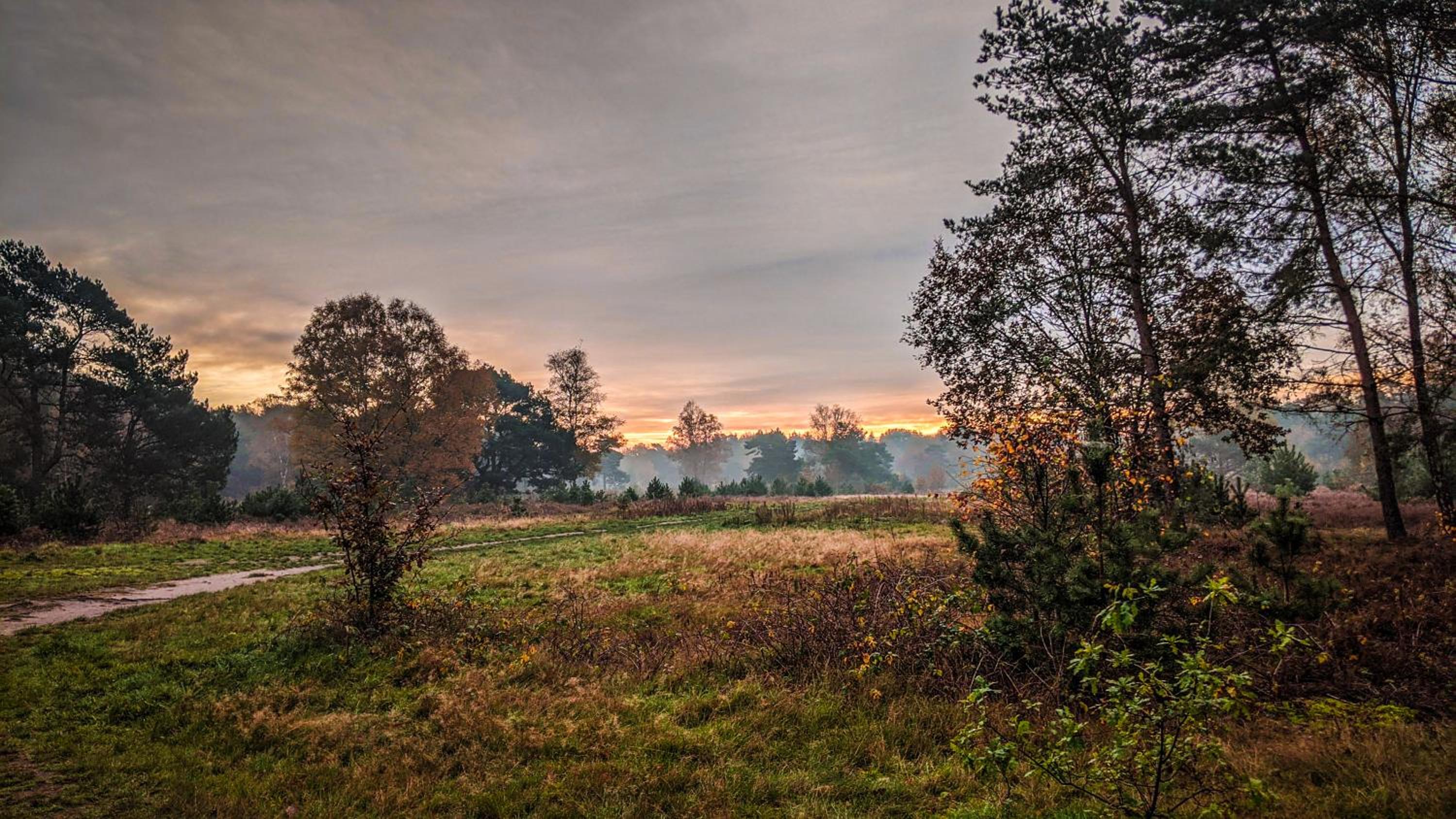 Chalet Op De Veluwe # Eiken view 4