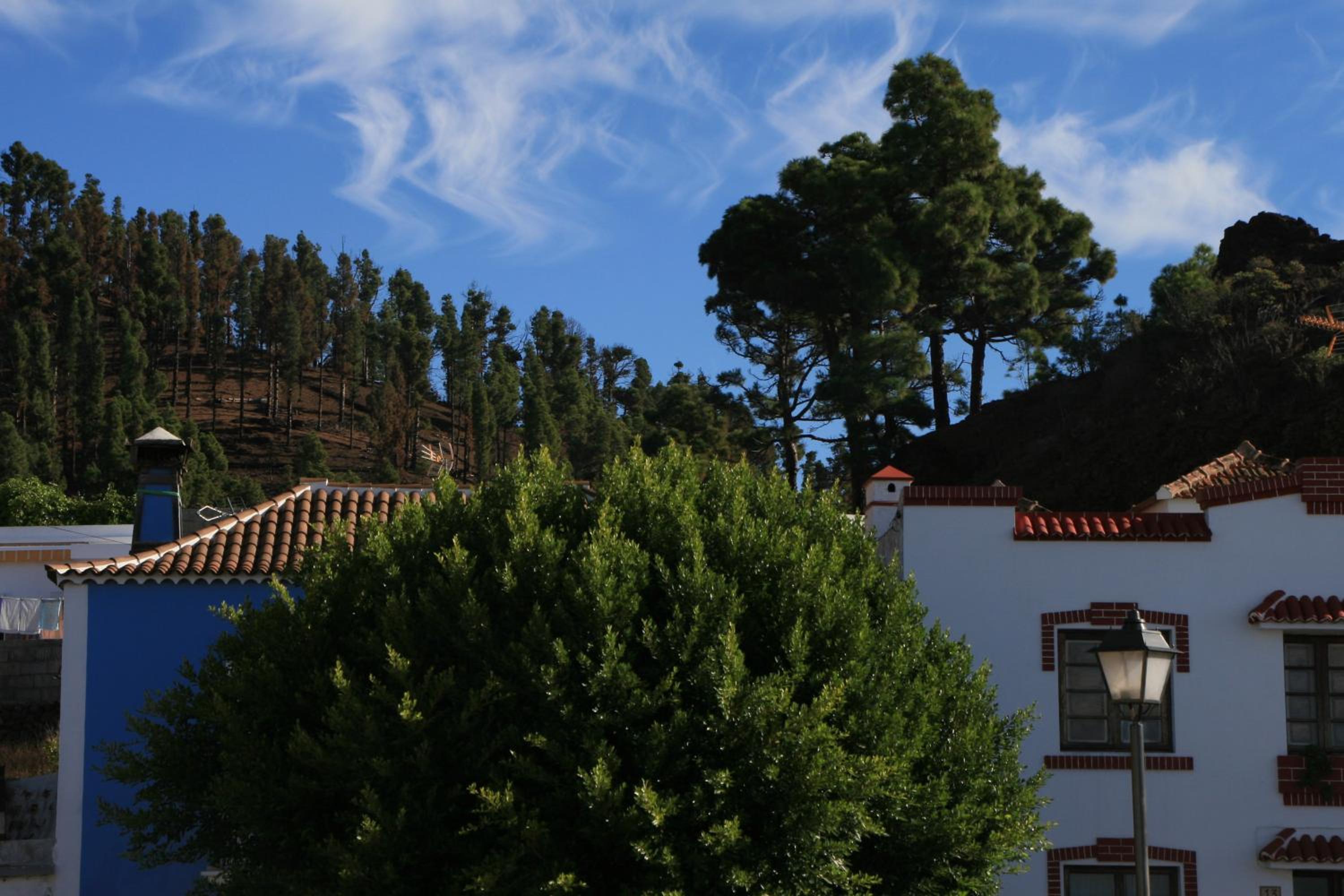 La Palma Hostel by Pension Central