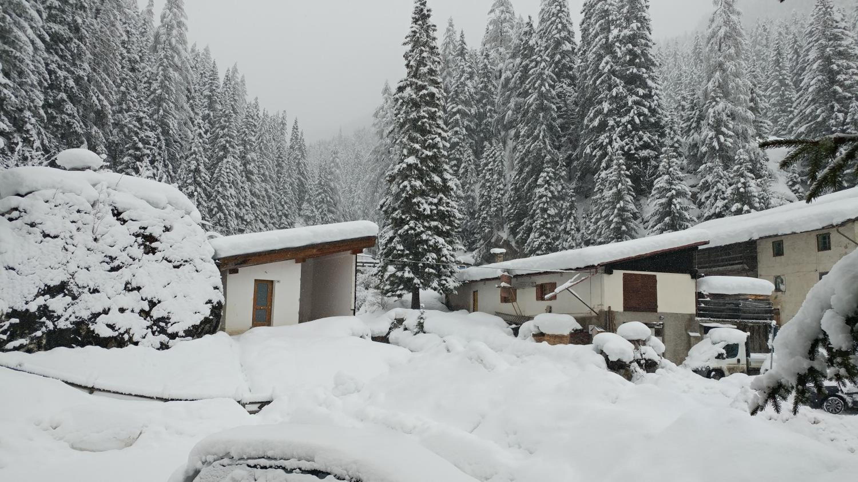 Casa del bosco