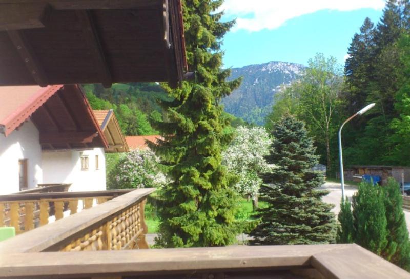 Haus Neuhäusl inkl. Chiemgaukarte view 5