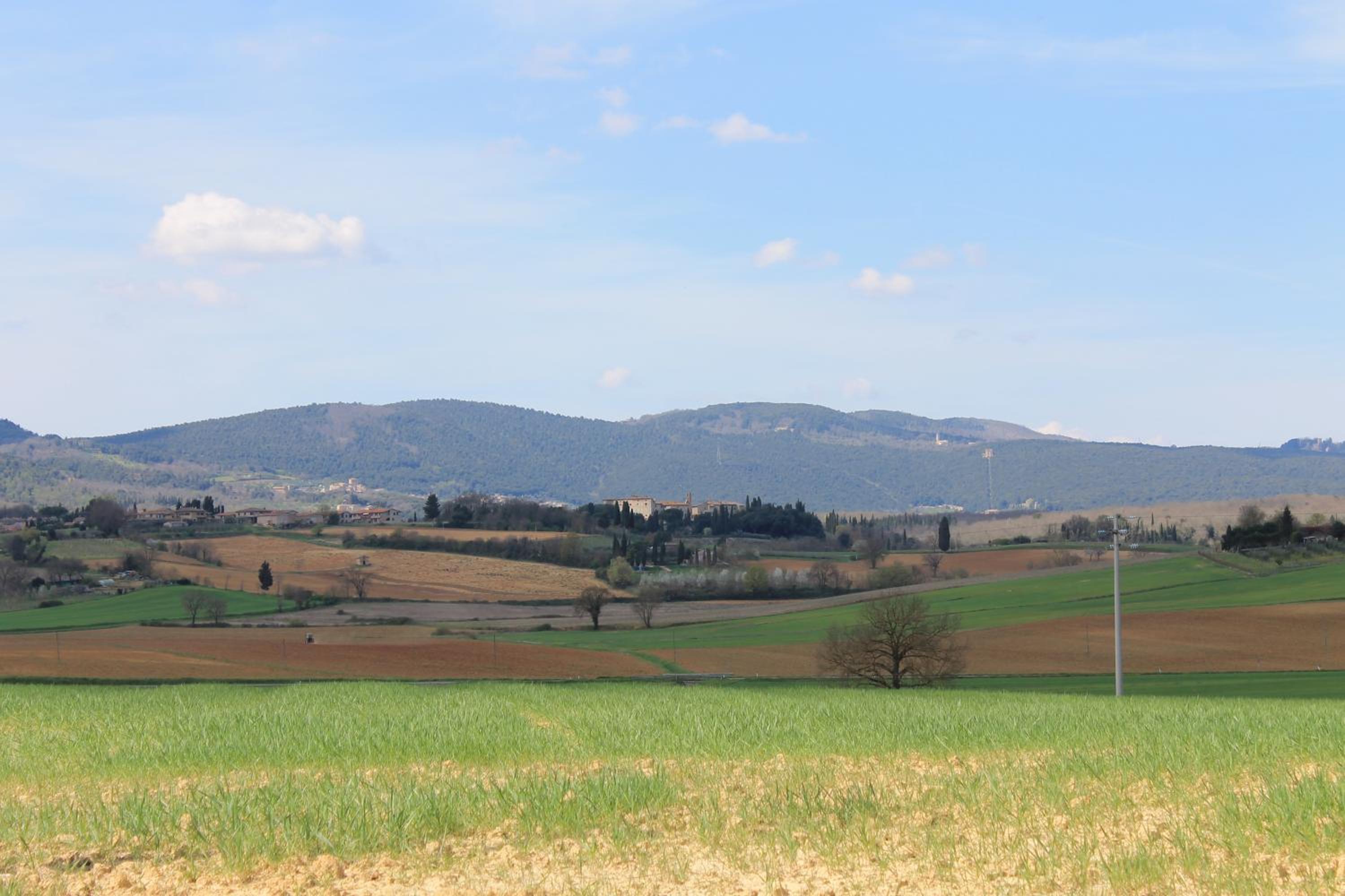 Casa Di Campagna In Toscana