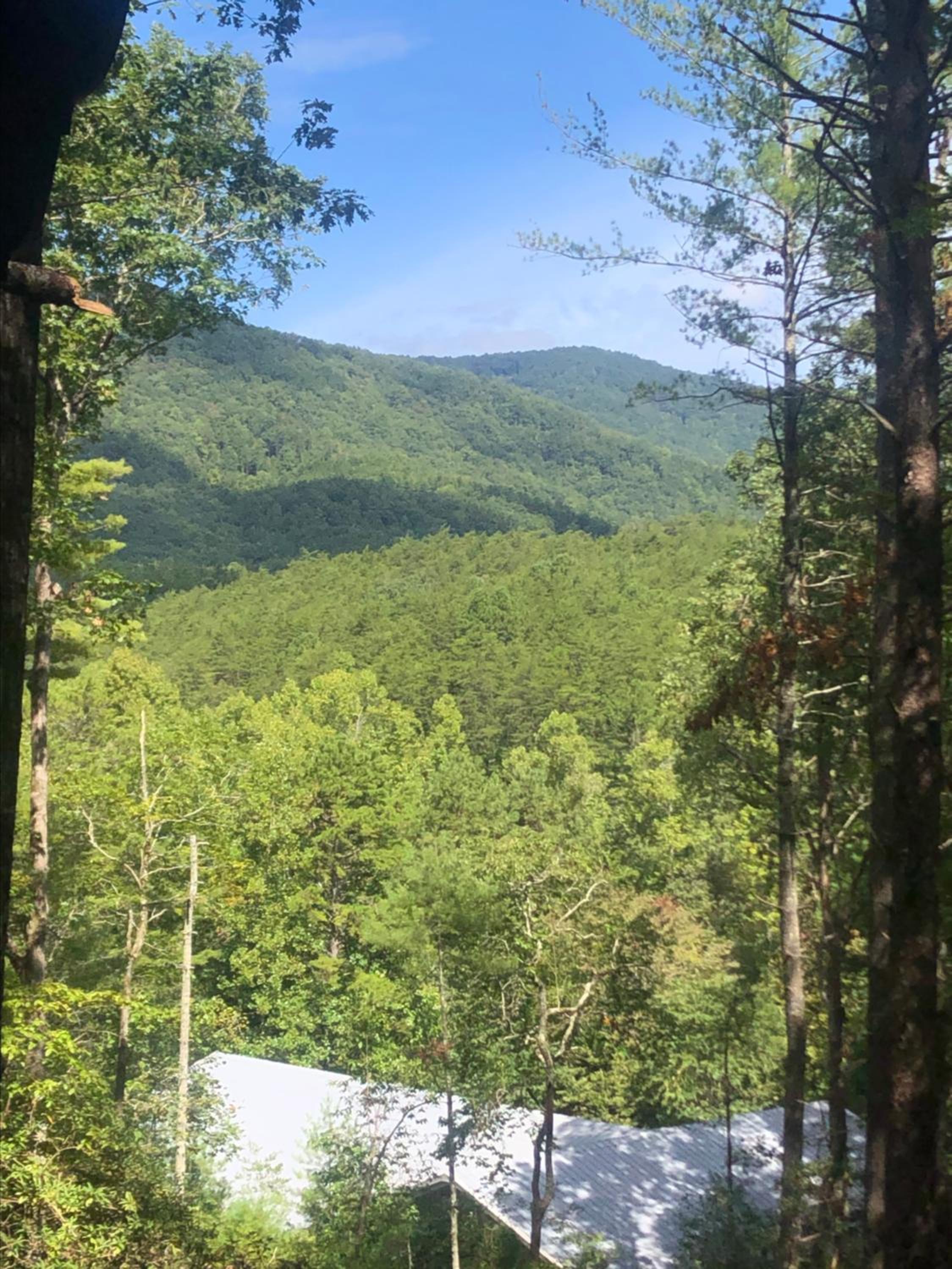 Mountain-top Cabin Get-away with Hot tub and a View view 4