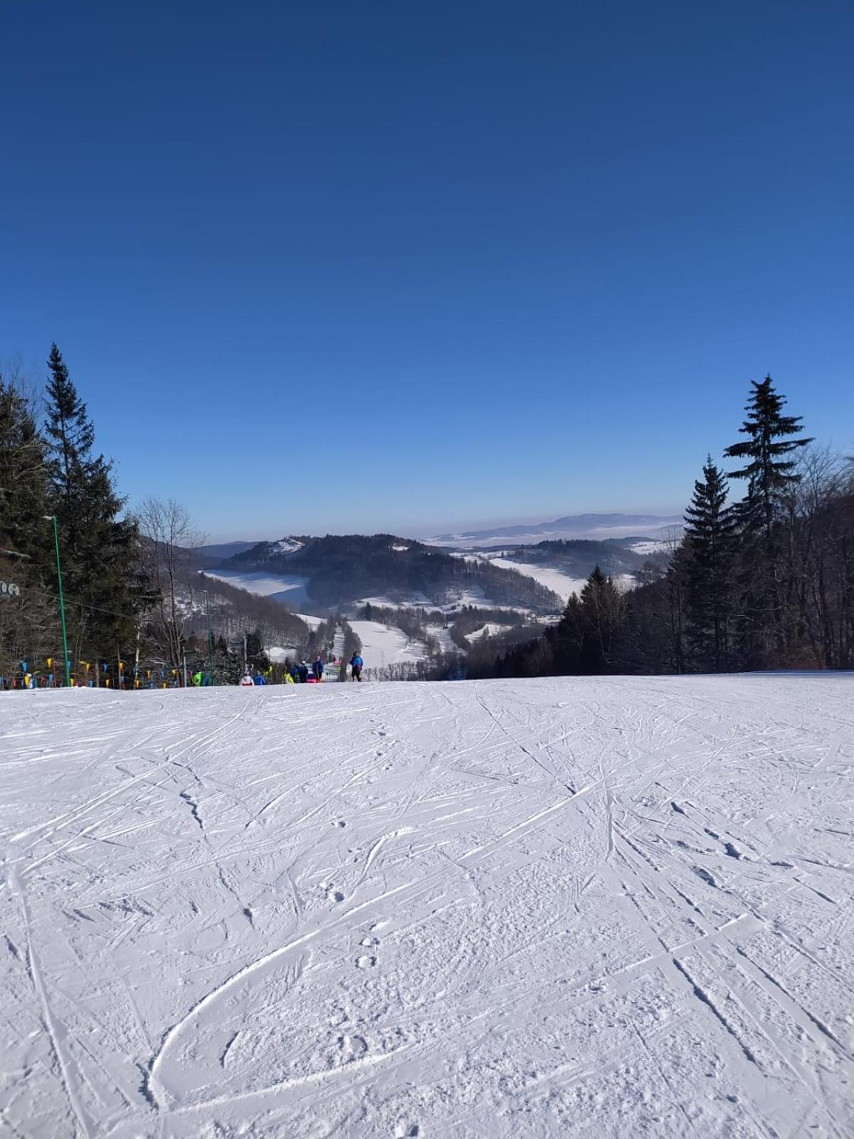 44 Śląska, photo 21