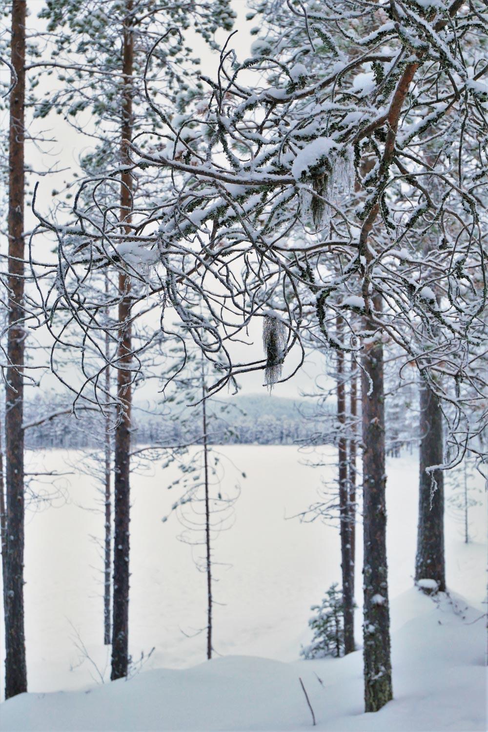 Villa Konttaisenranta view 5