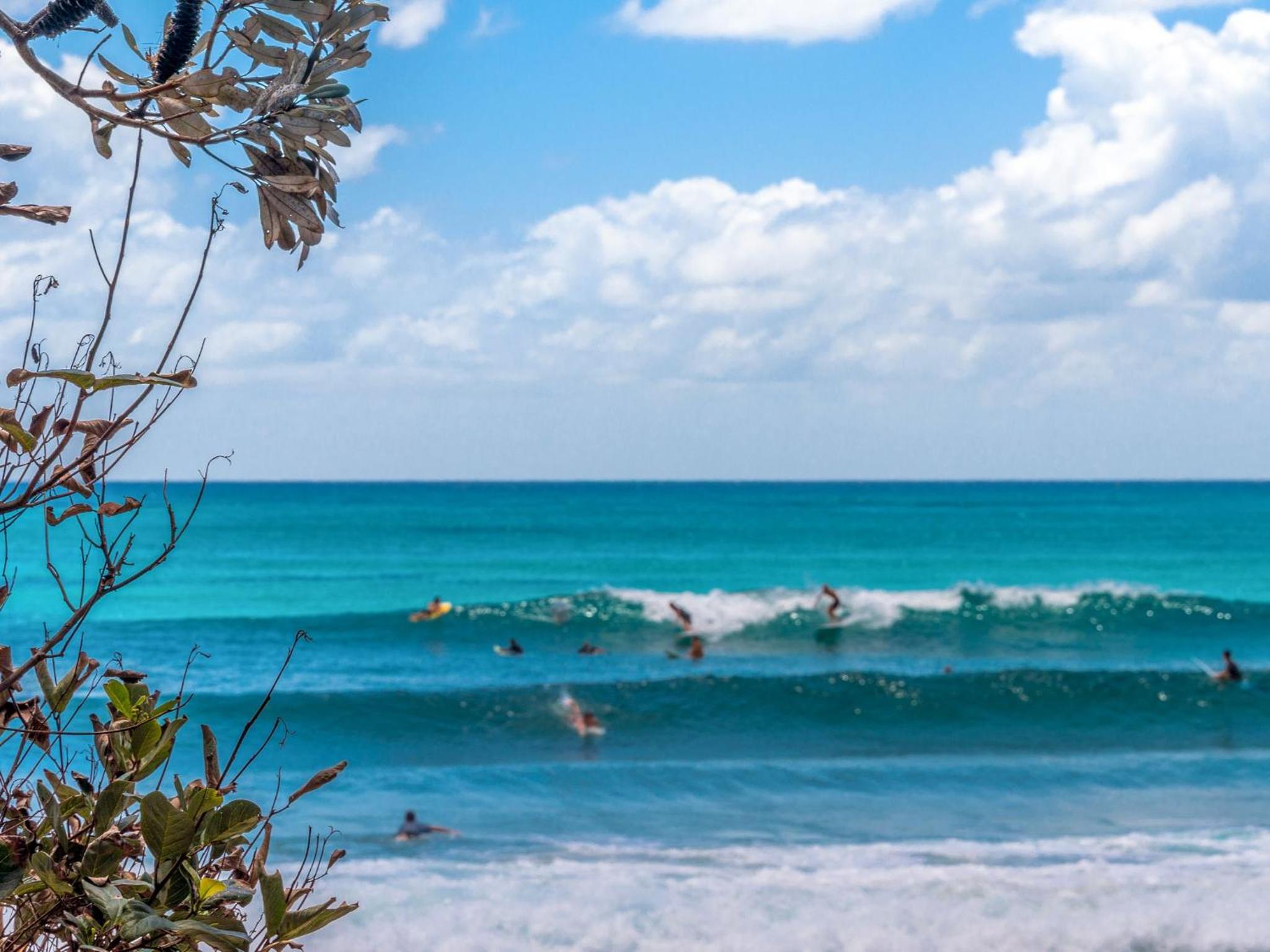 Lawson Beachfront
