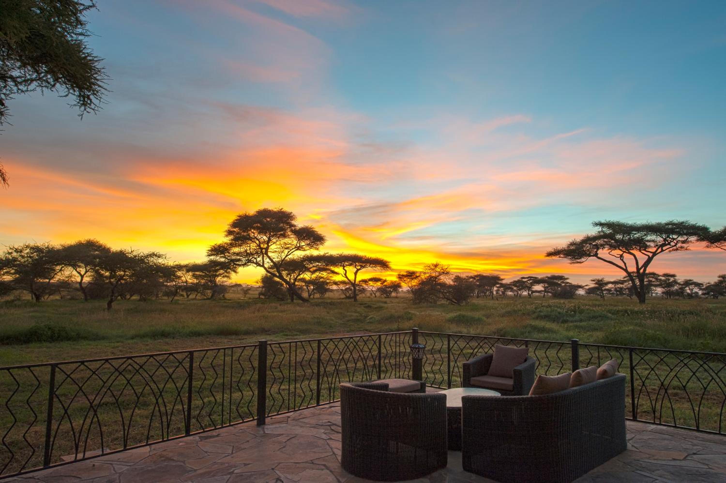 Serengeti National Park Vacations - Serengeti Sametu Camp - Property Image 39
