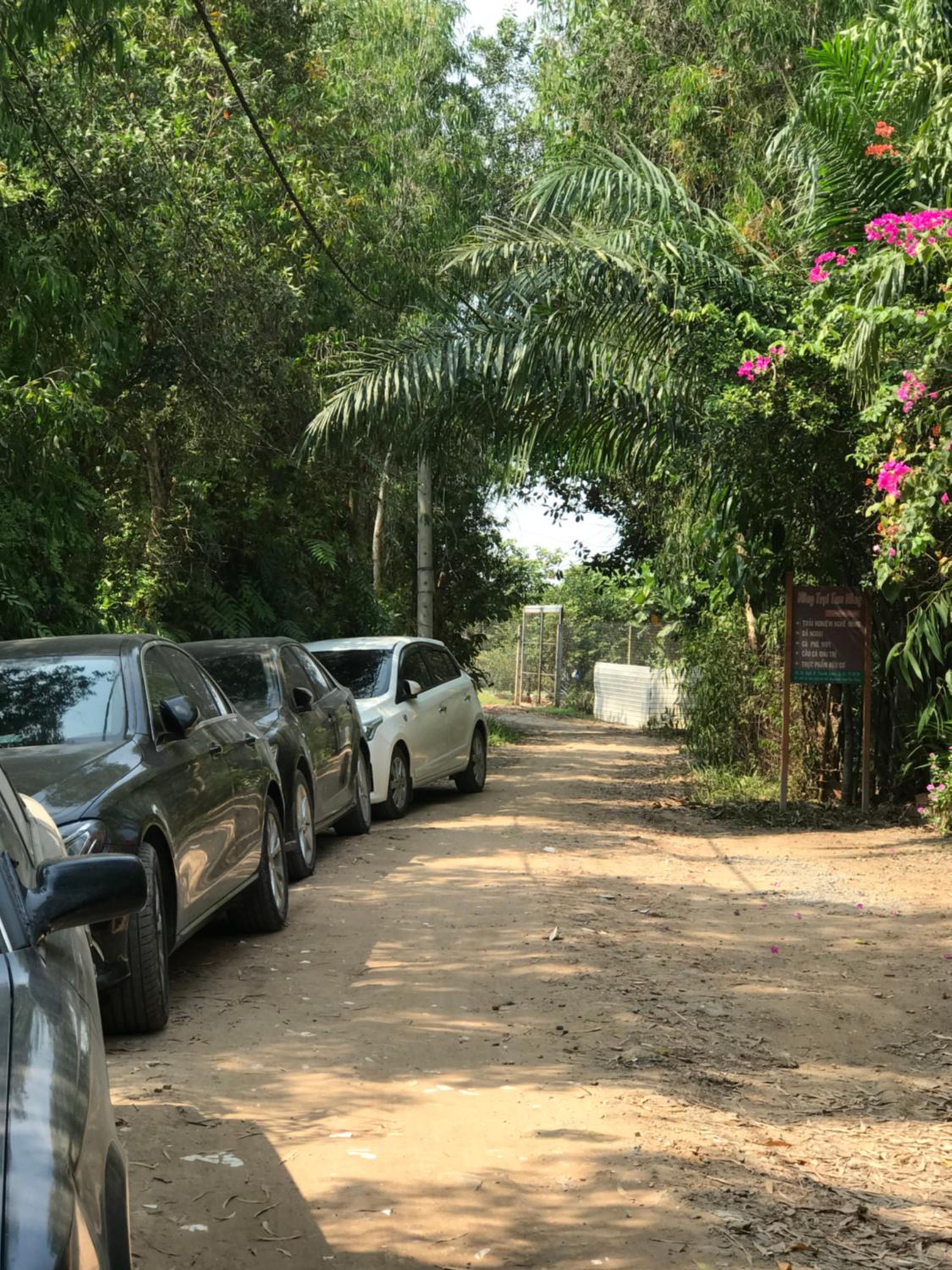 Saigon Garden Homestay