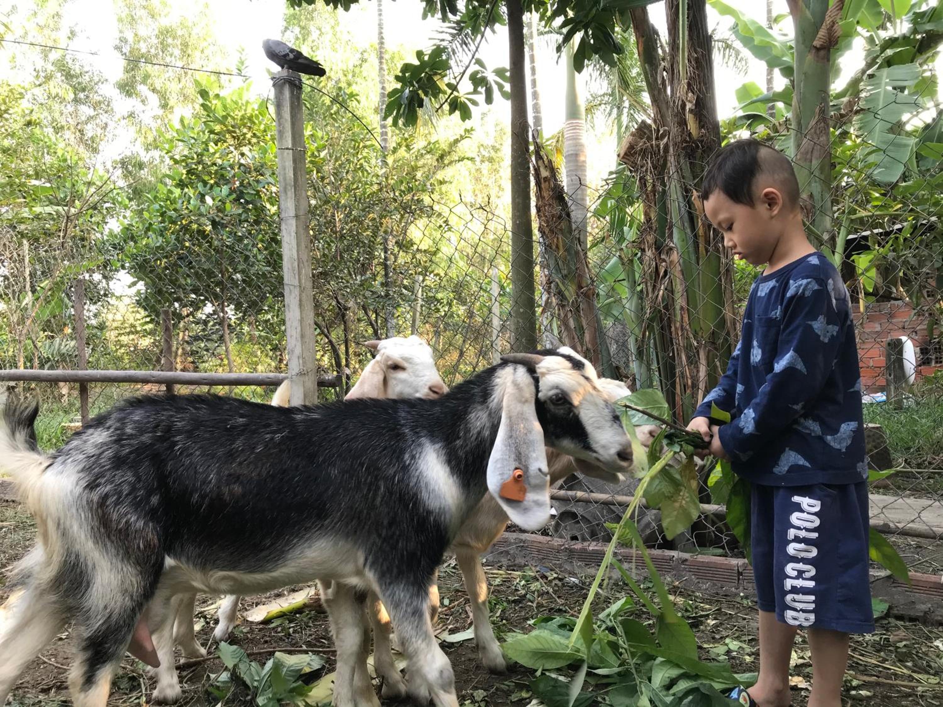 Saigon Garden Homestay