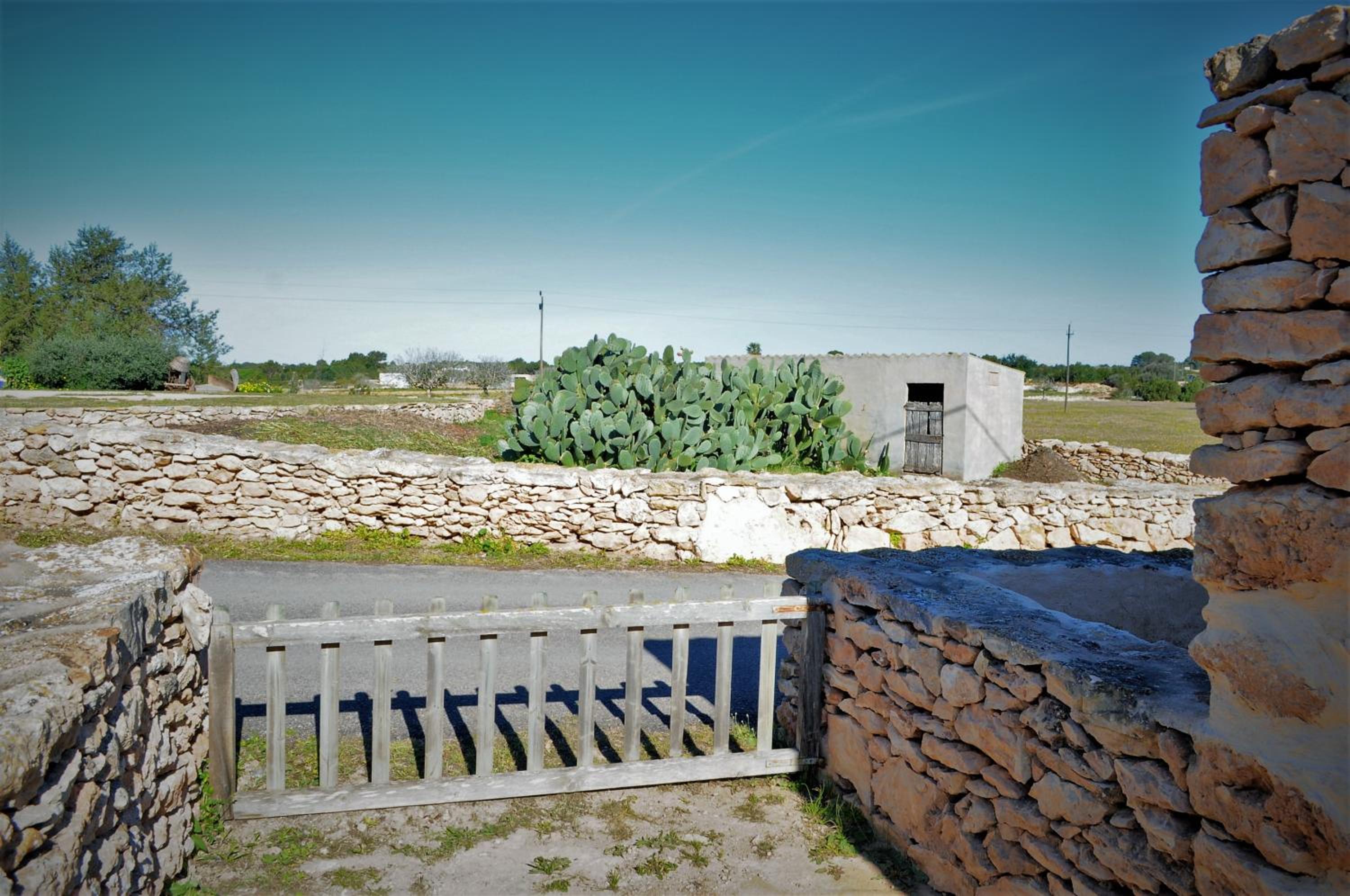 Photo 42