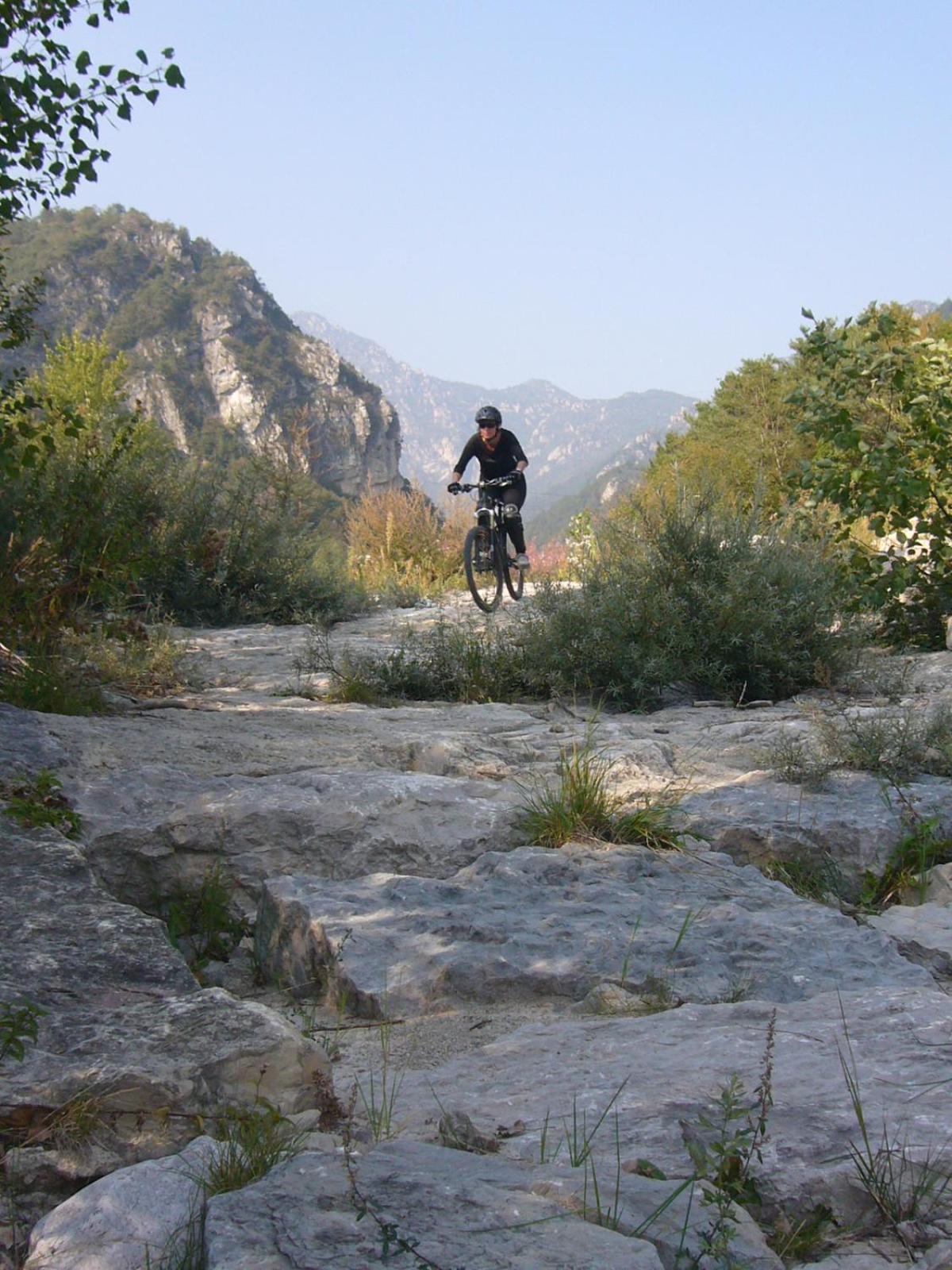 Photo 25