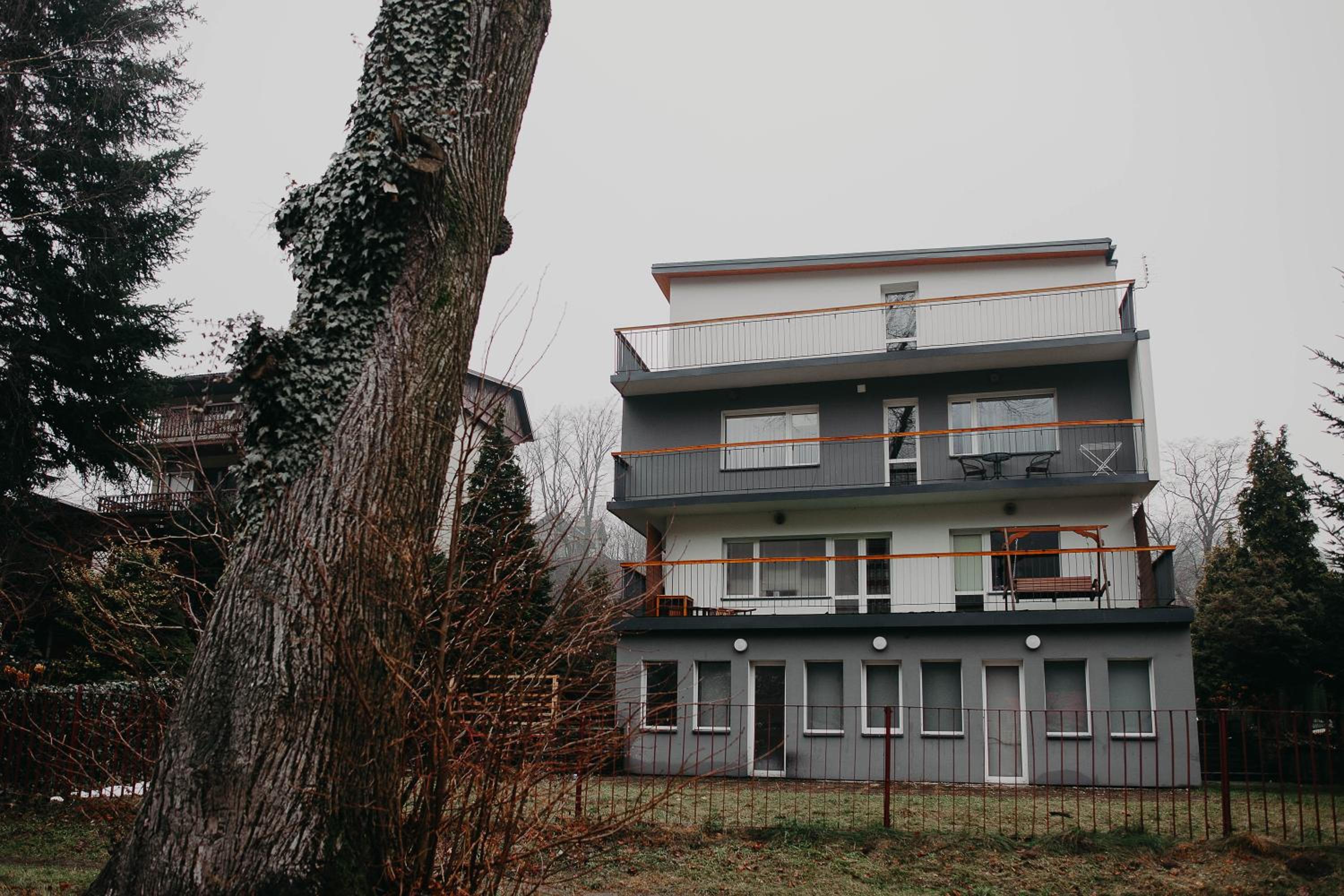 Photo 45