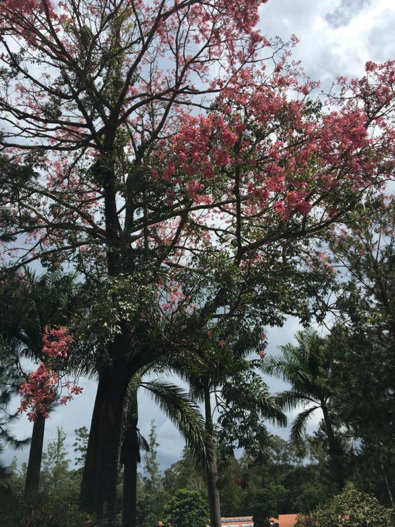 Recanto Caminho das Águas