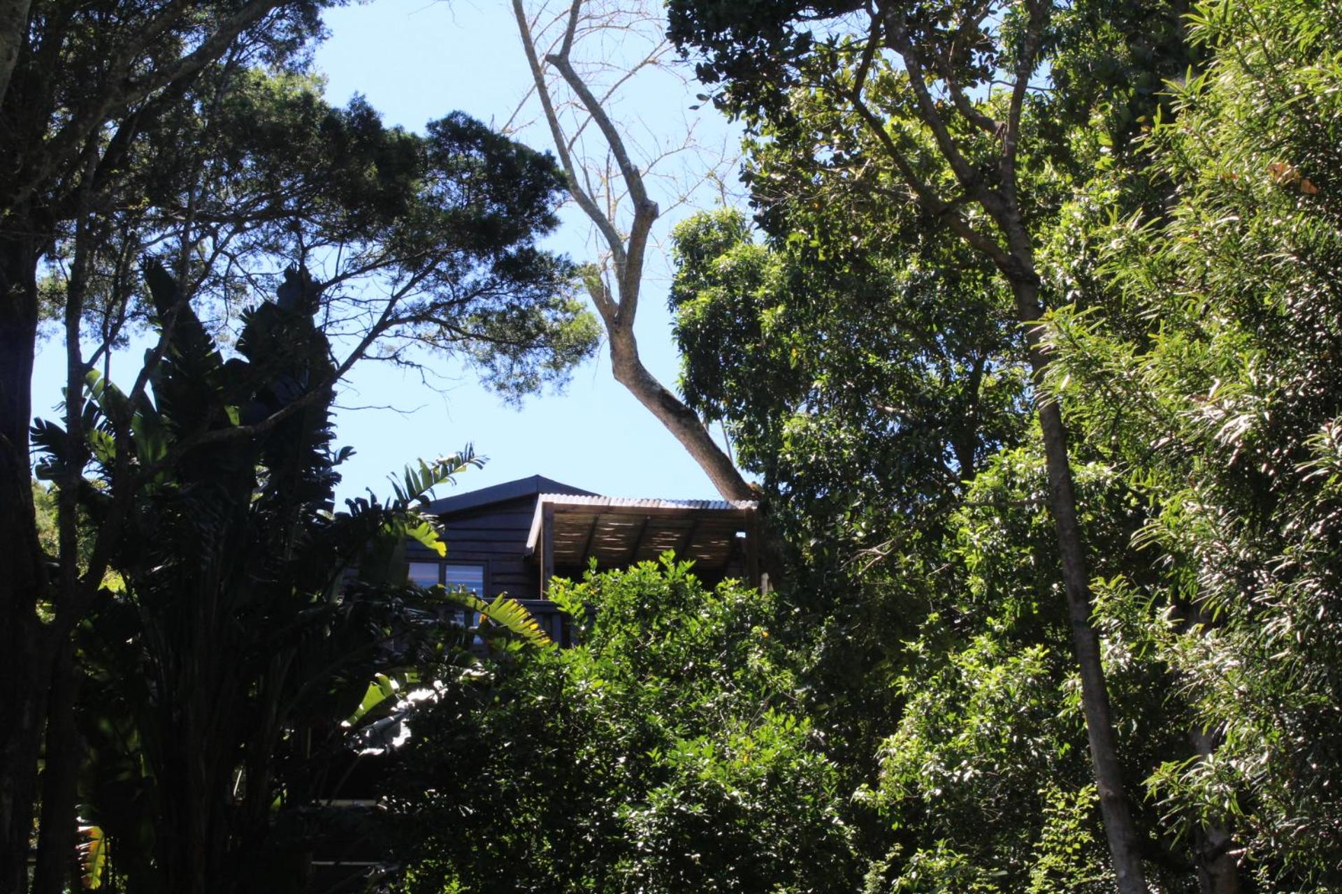 Treehouse Cottage