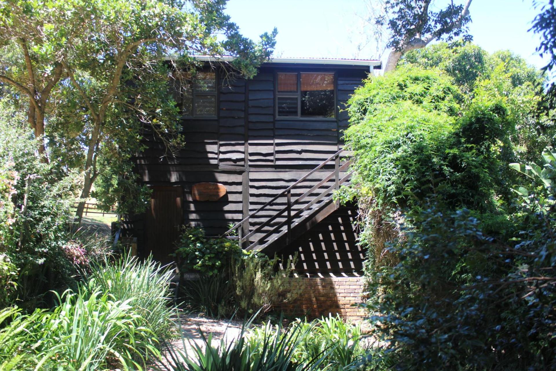 Treehouse Cottage