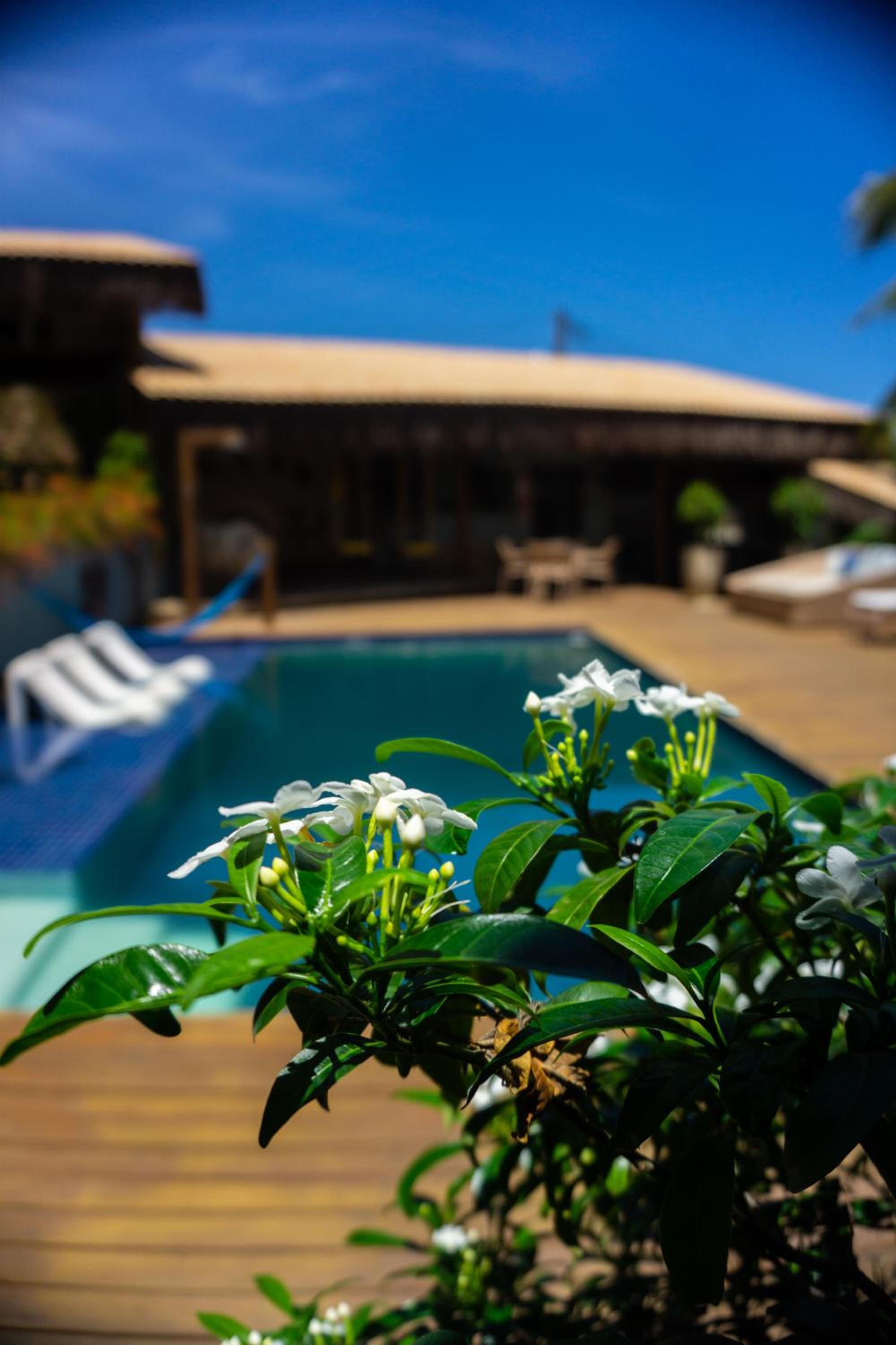Xamã Senses - Hotel Pousada