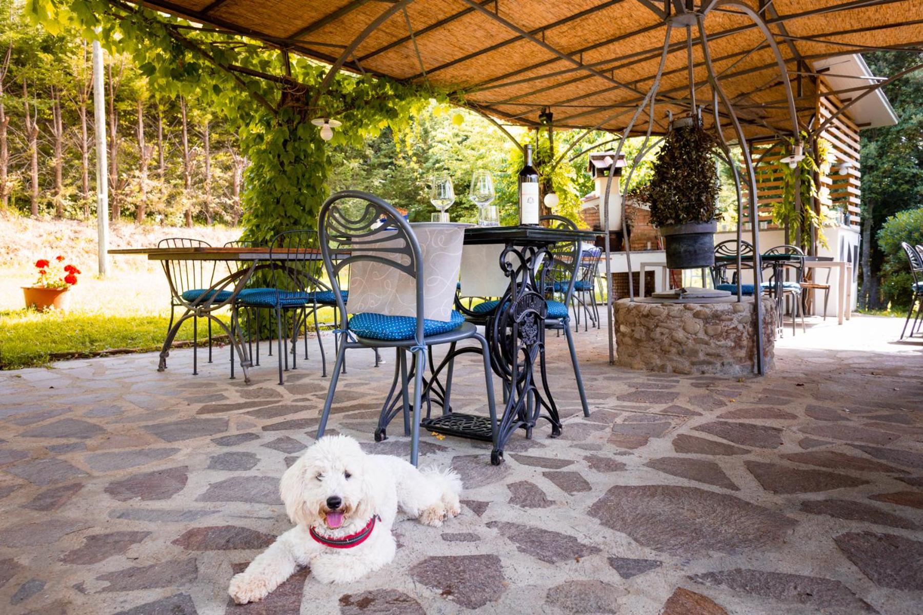 Agriturismo Parco Fiorito view 3