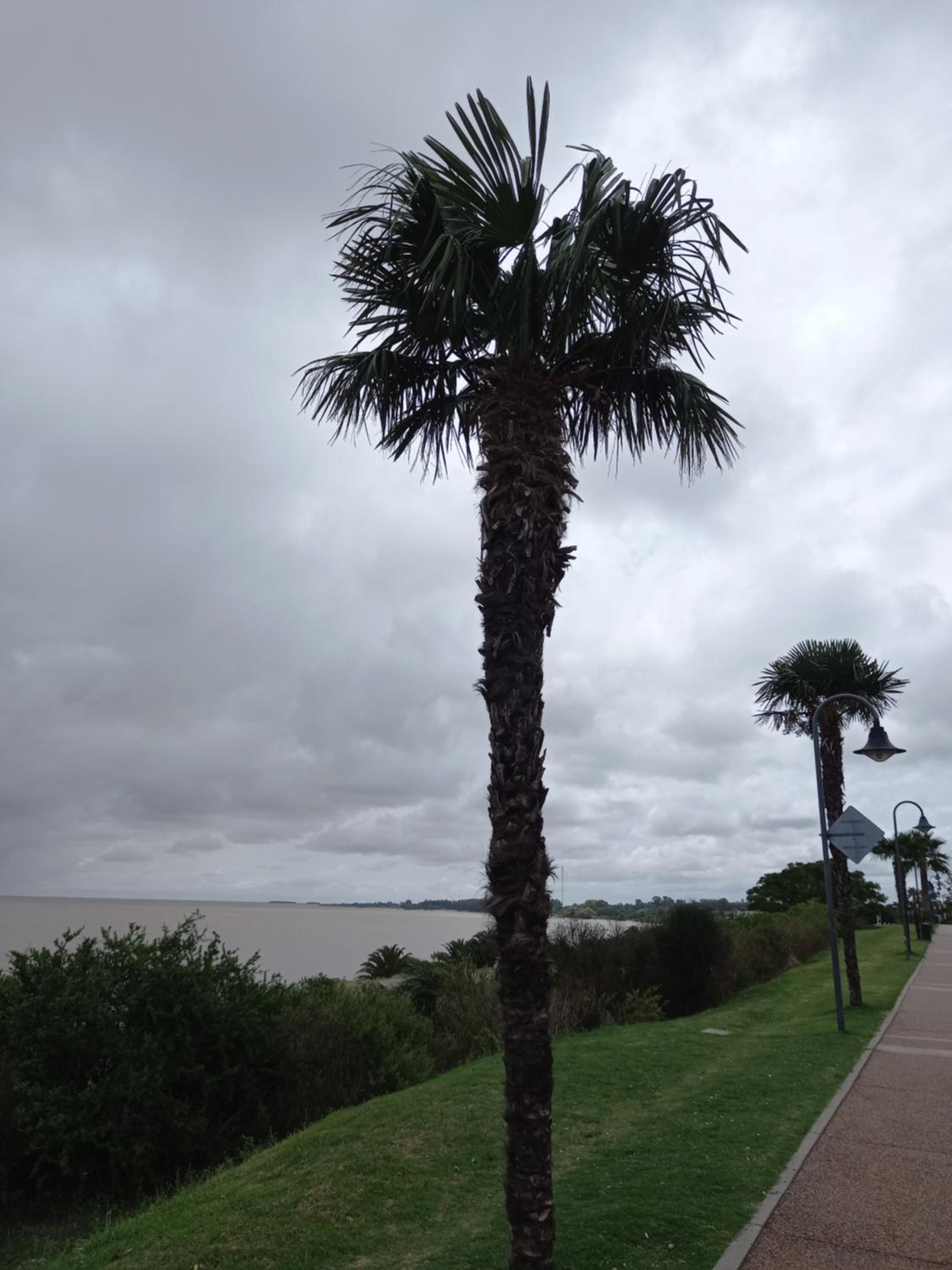 Monoambiente en Colonia