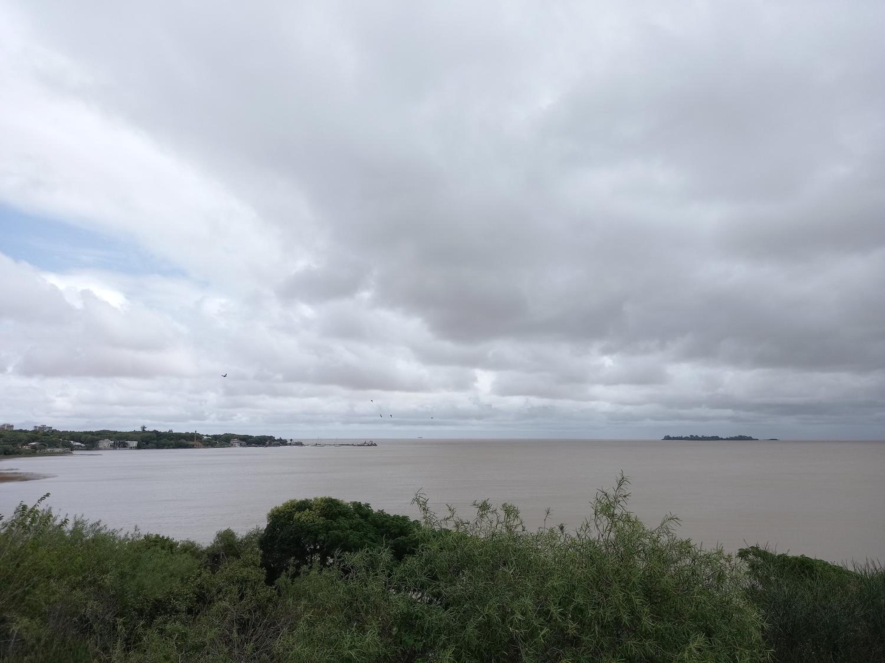 Monoambiente en Colonia