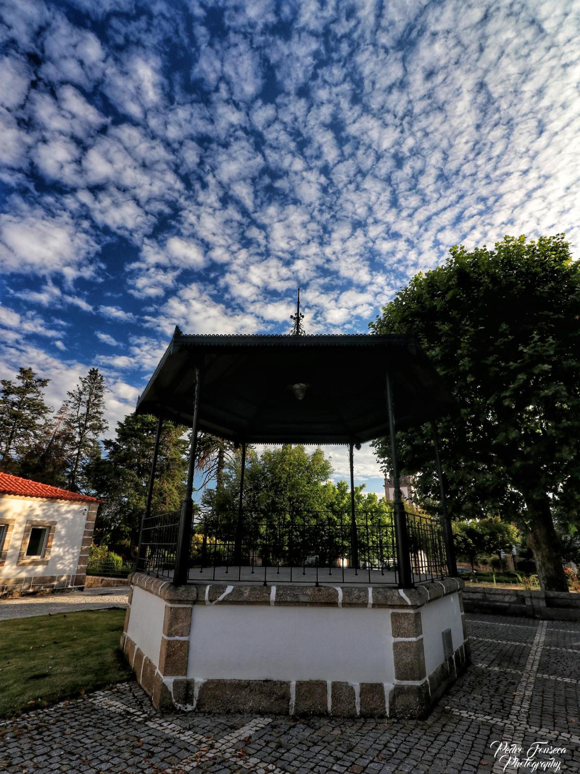 Photo 36