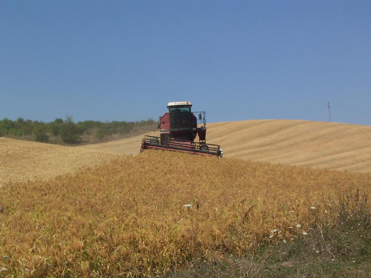Podere Cartaio Bio Farm, private pool, AirC