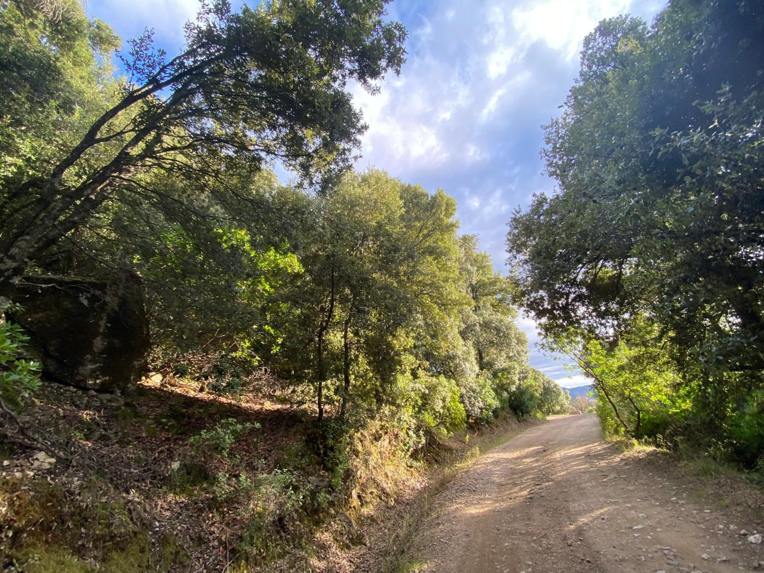 Locanda Tipica Sa Corte