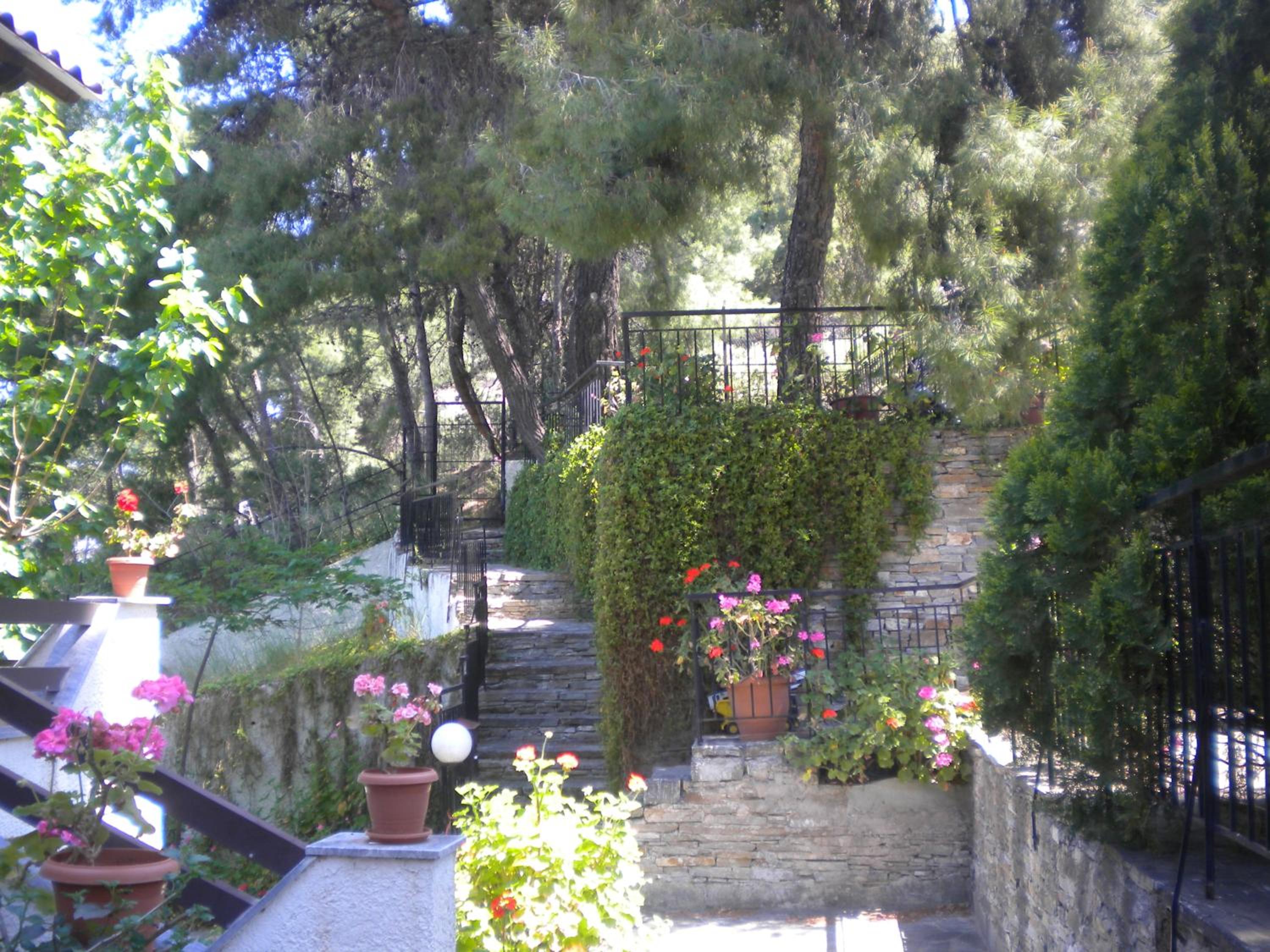 Photo 42