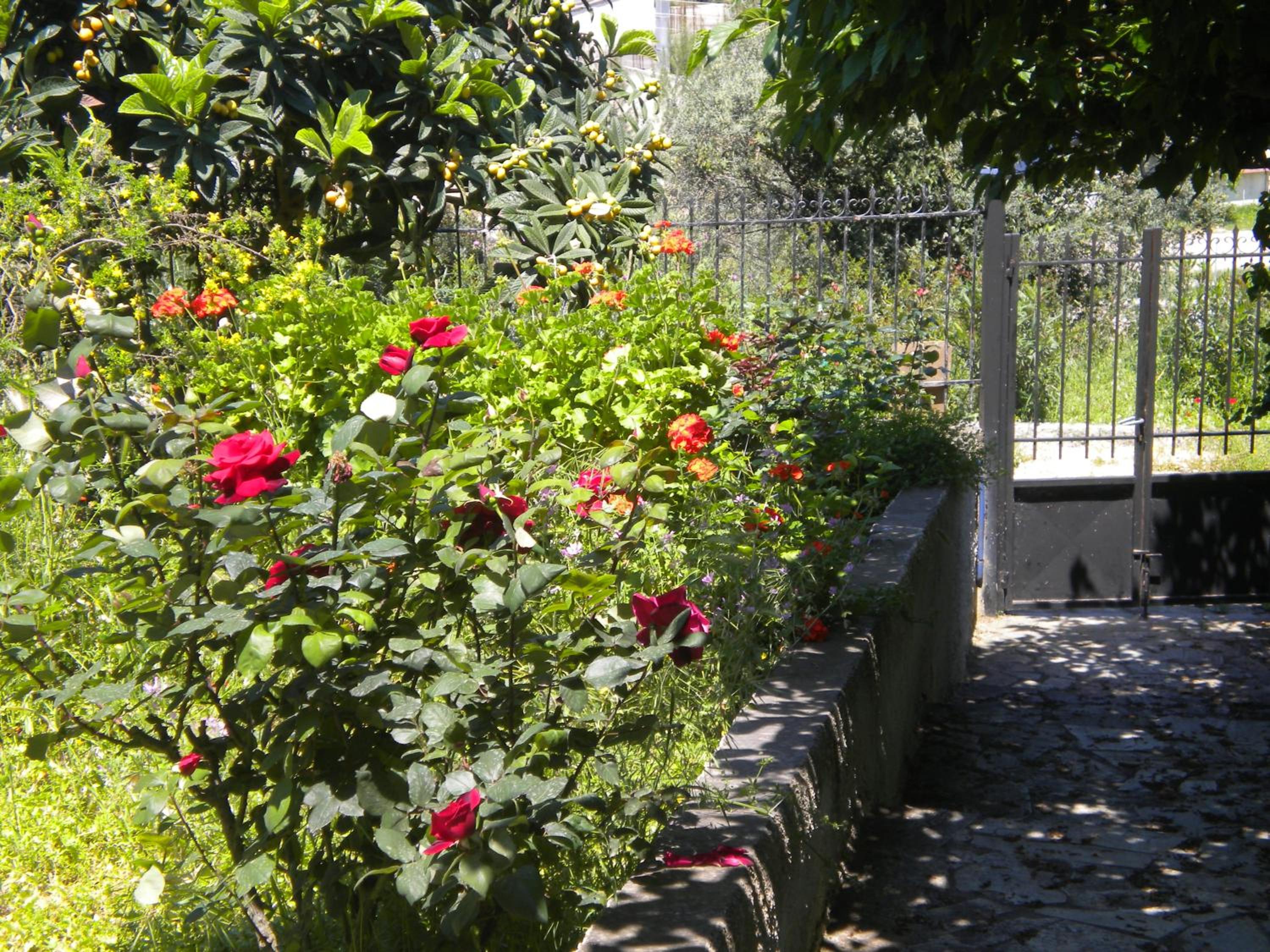 Photo 41