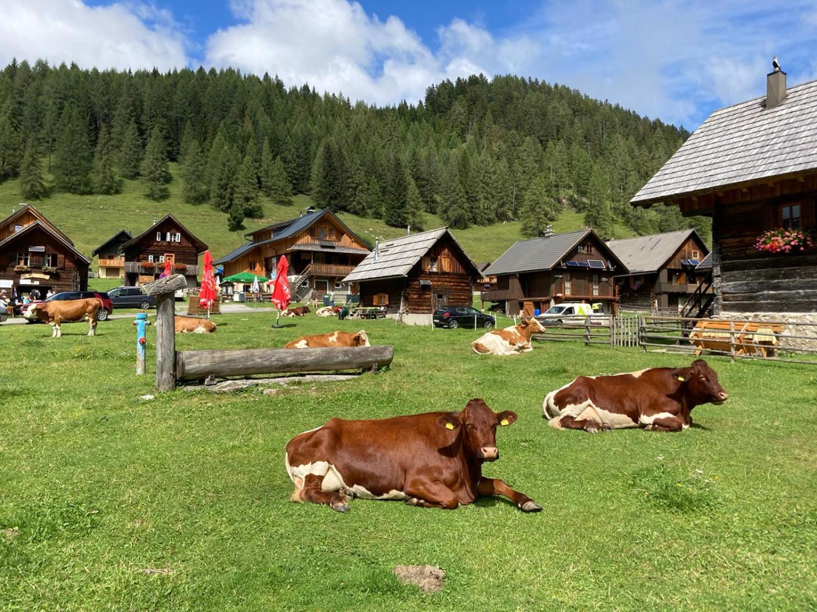 Berghaus Weissbriach