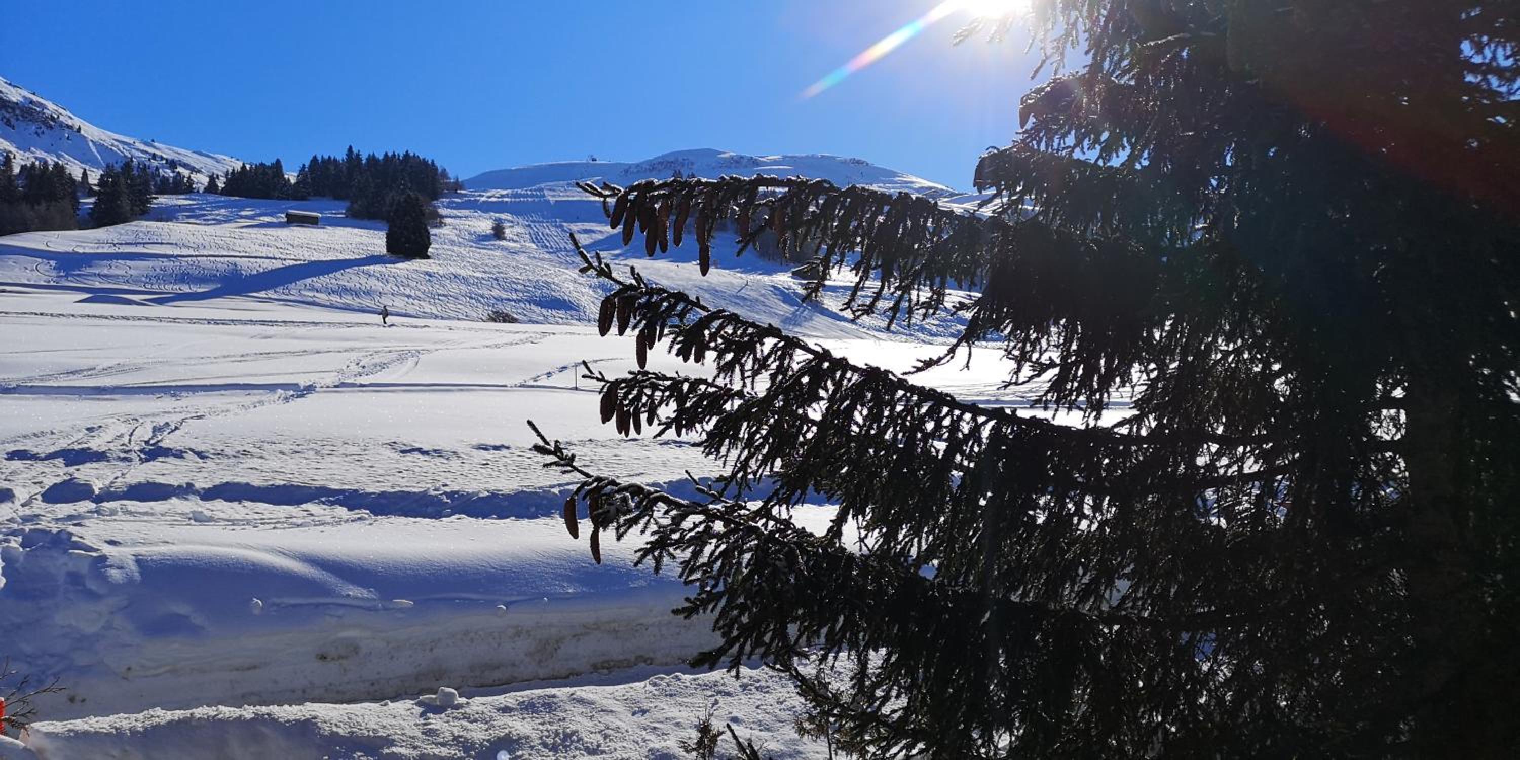 grosses Ferienhaus mit Sauna im Skigeb. Obersaxen