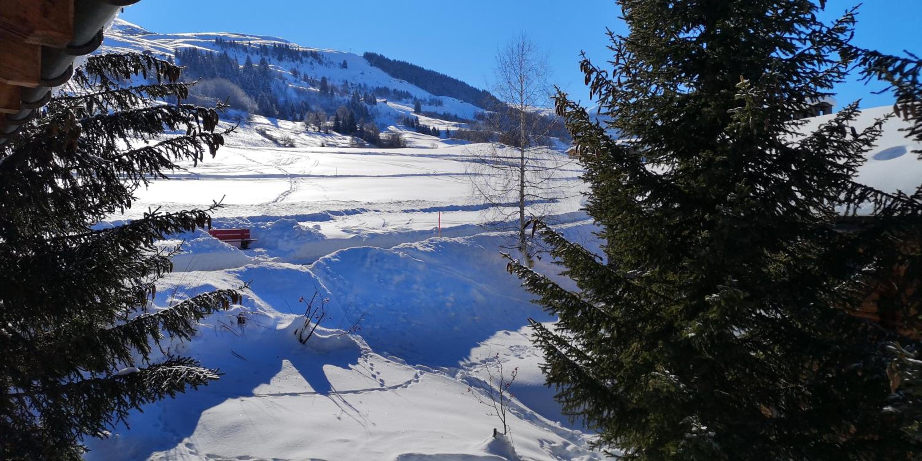grosses Ferienhaus mit Sauna im Skigeb. Obersaxen