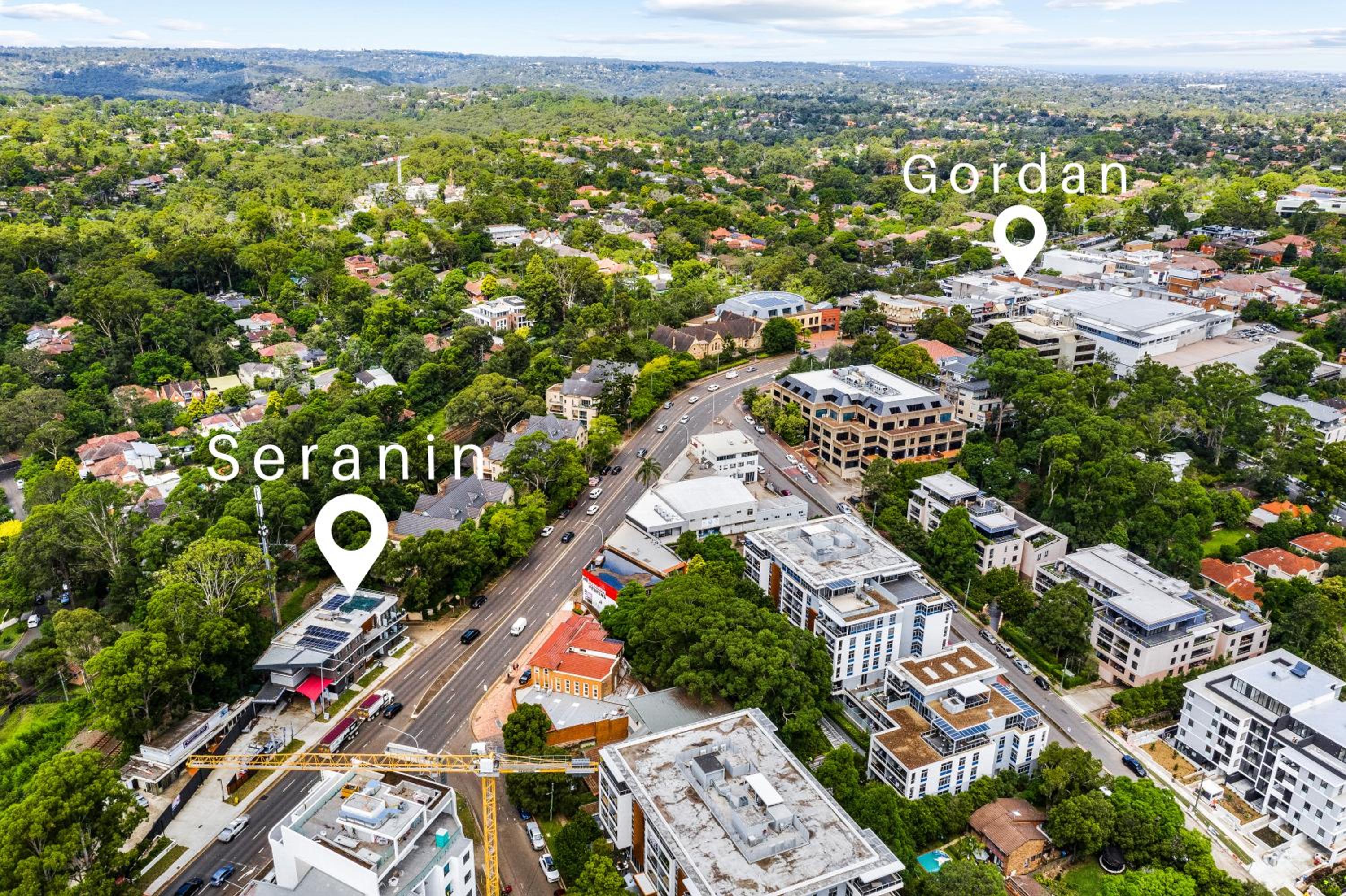 Seranin | Gordon